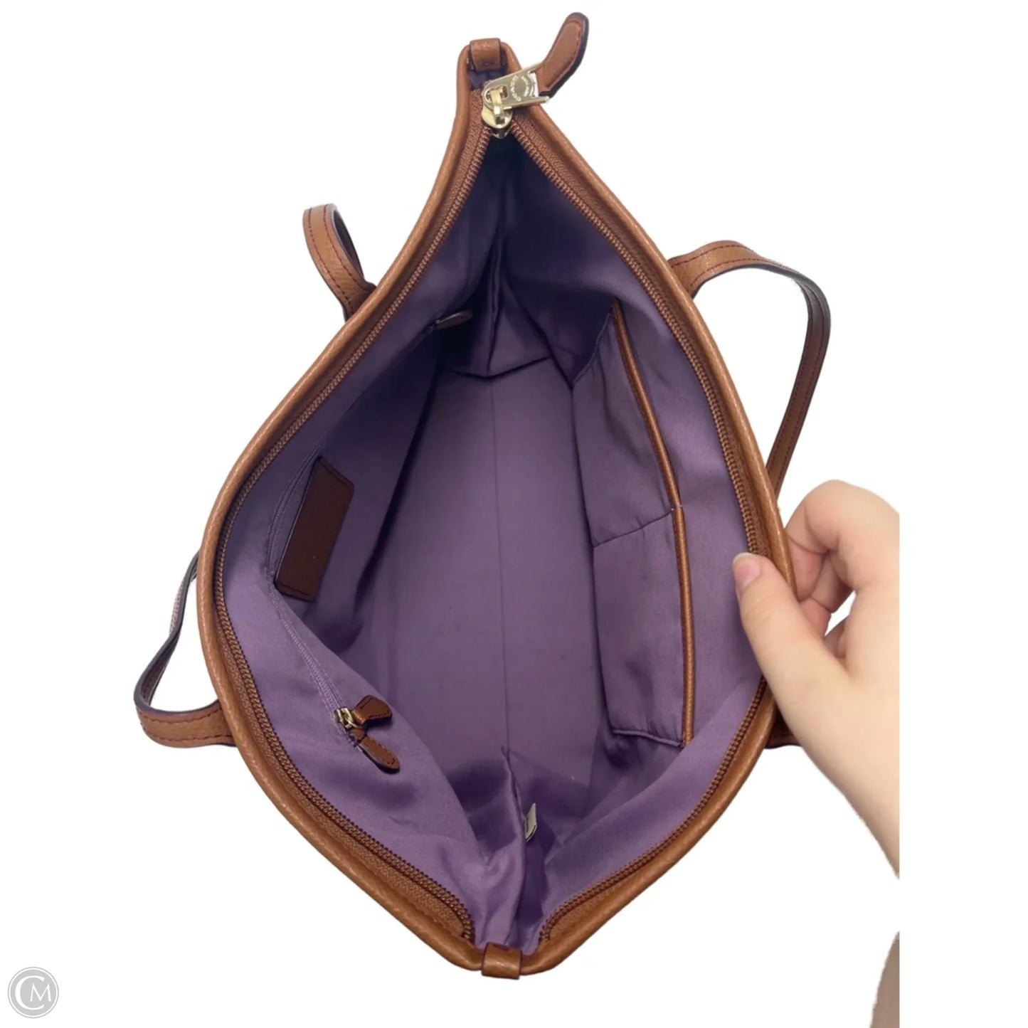 Handbag Designer By Coach