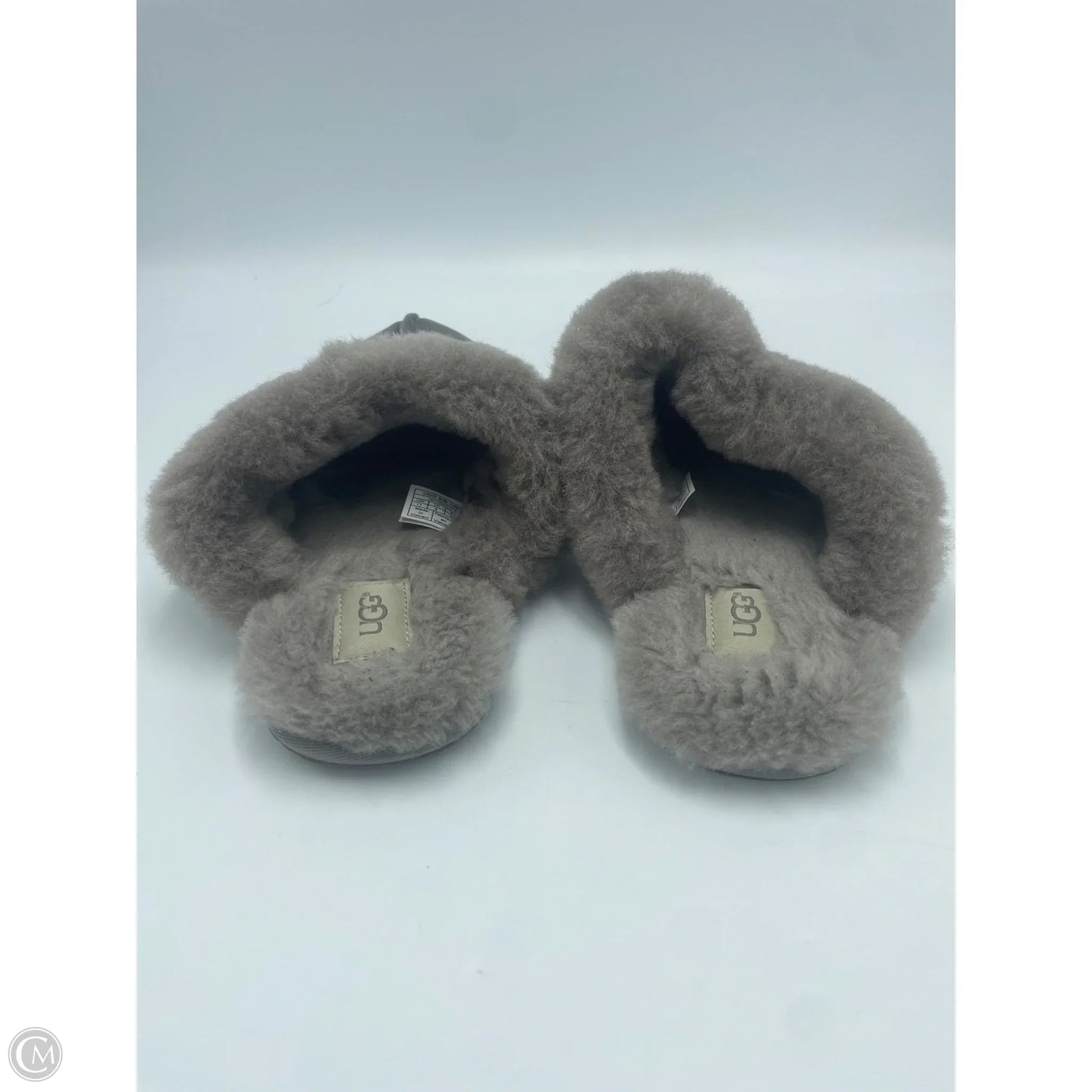 Slippers Designer By UGG In Size 11