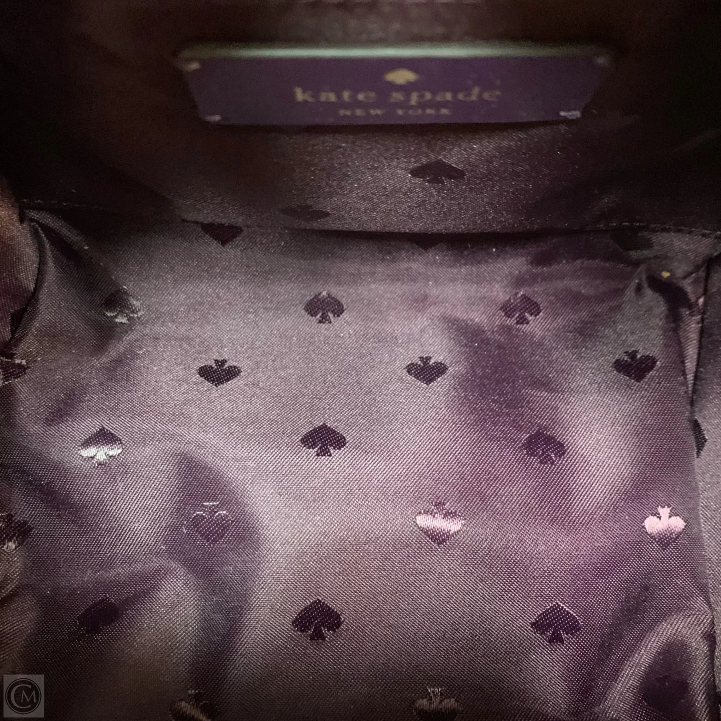 Crossbody Designer By Kate Spade, Size: Small