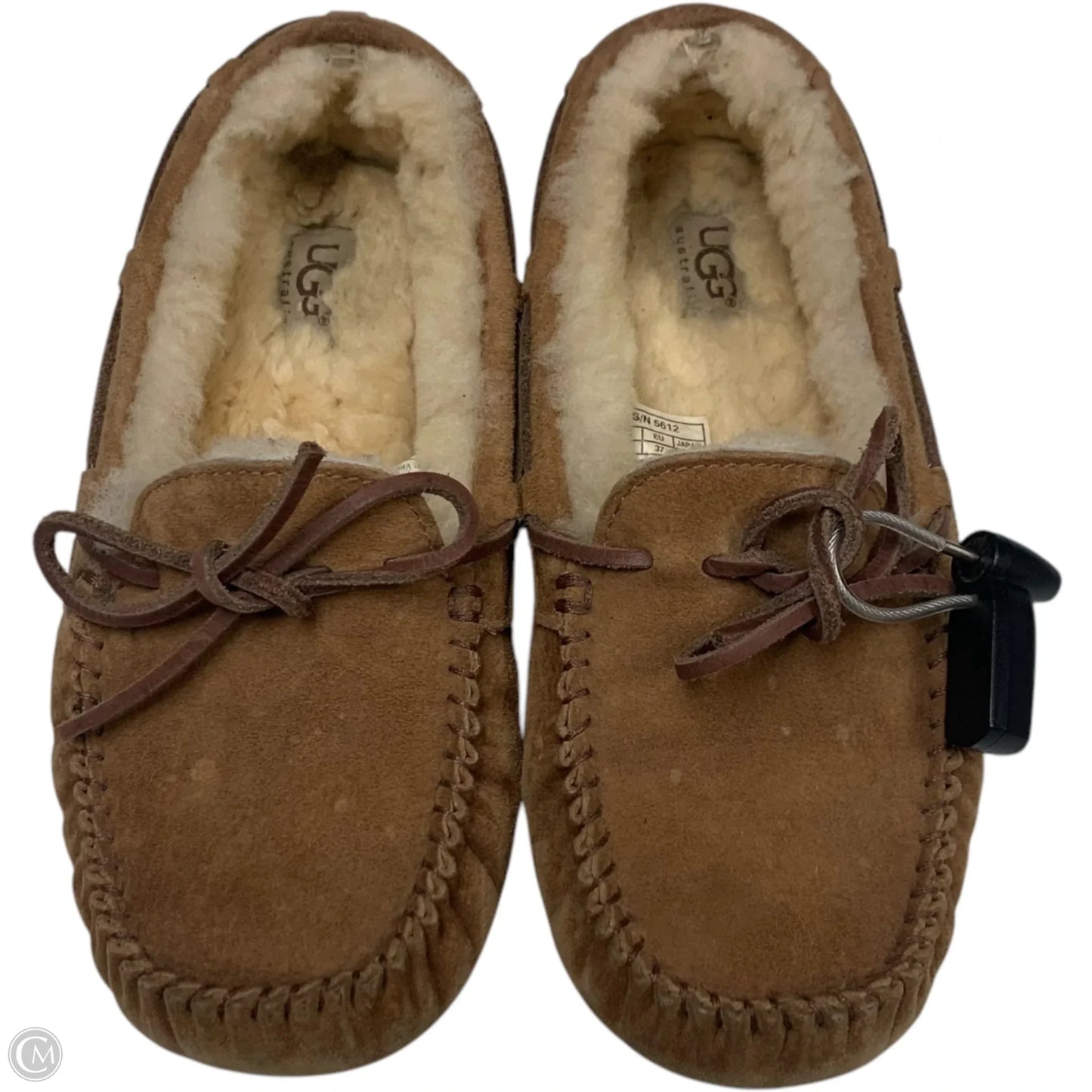 Shoes Designer By Ugg In Brown, Size: 6