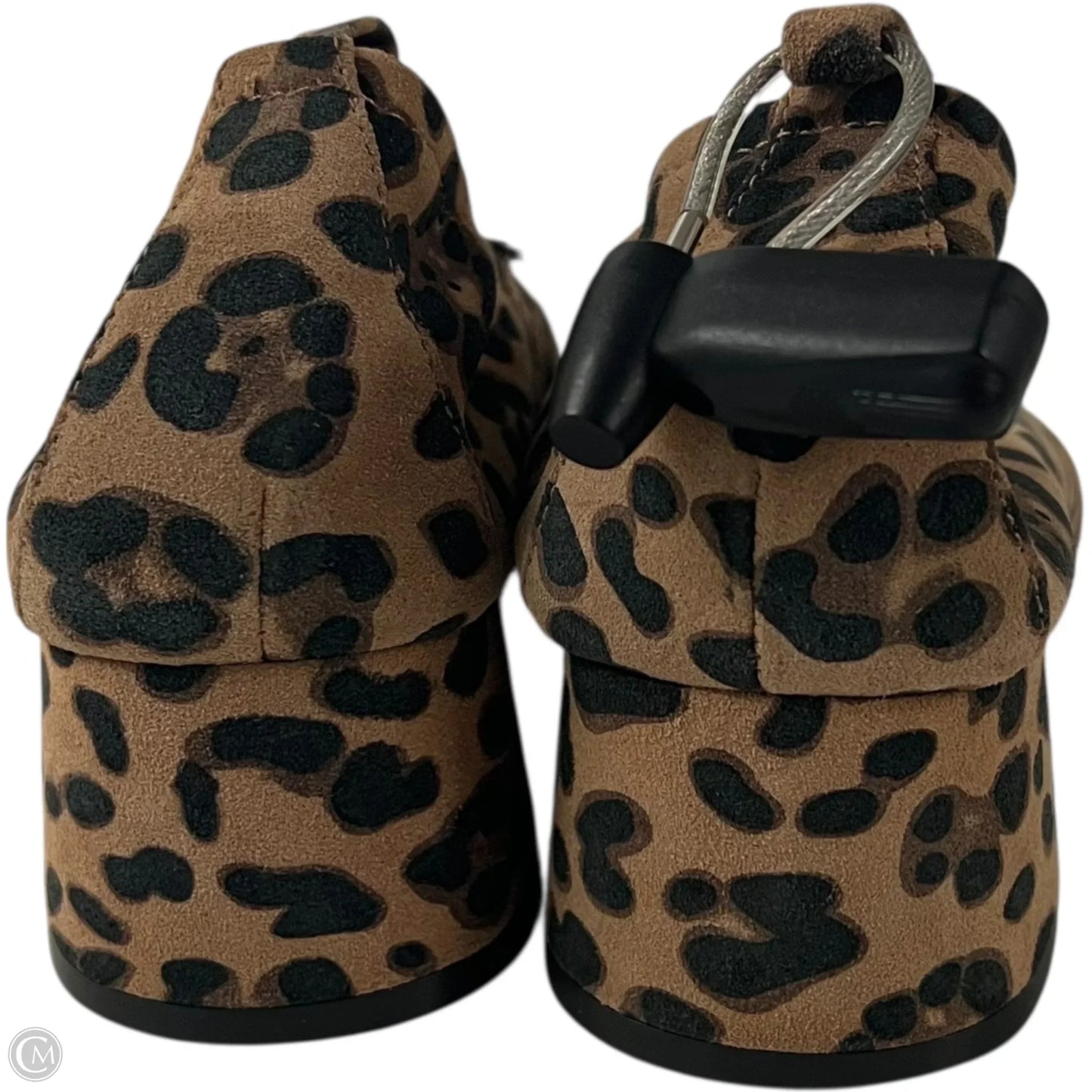 Shoes Designer By Jack Rogers In Animal Print, Size: 8