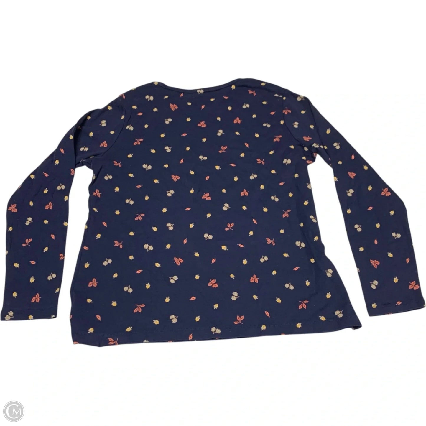Top Long Sleeve By Croft And Barrow In Blue, Size: L