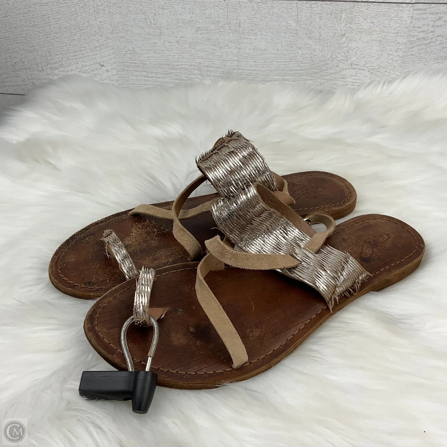 Sandals Flats By Freebird In Gold, Size: 10