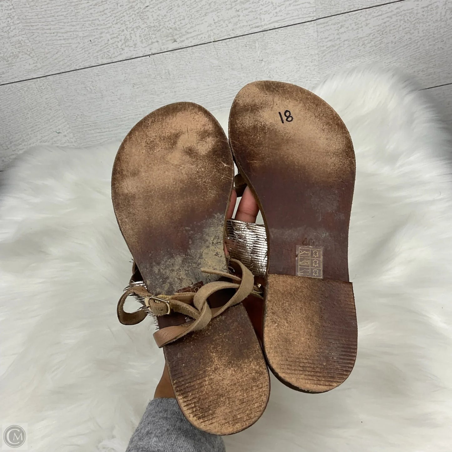 Sandals Flats By Freebird In Gold, Size: 10