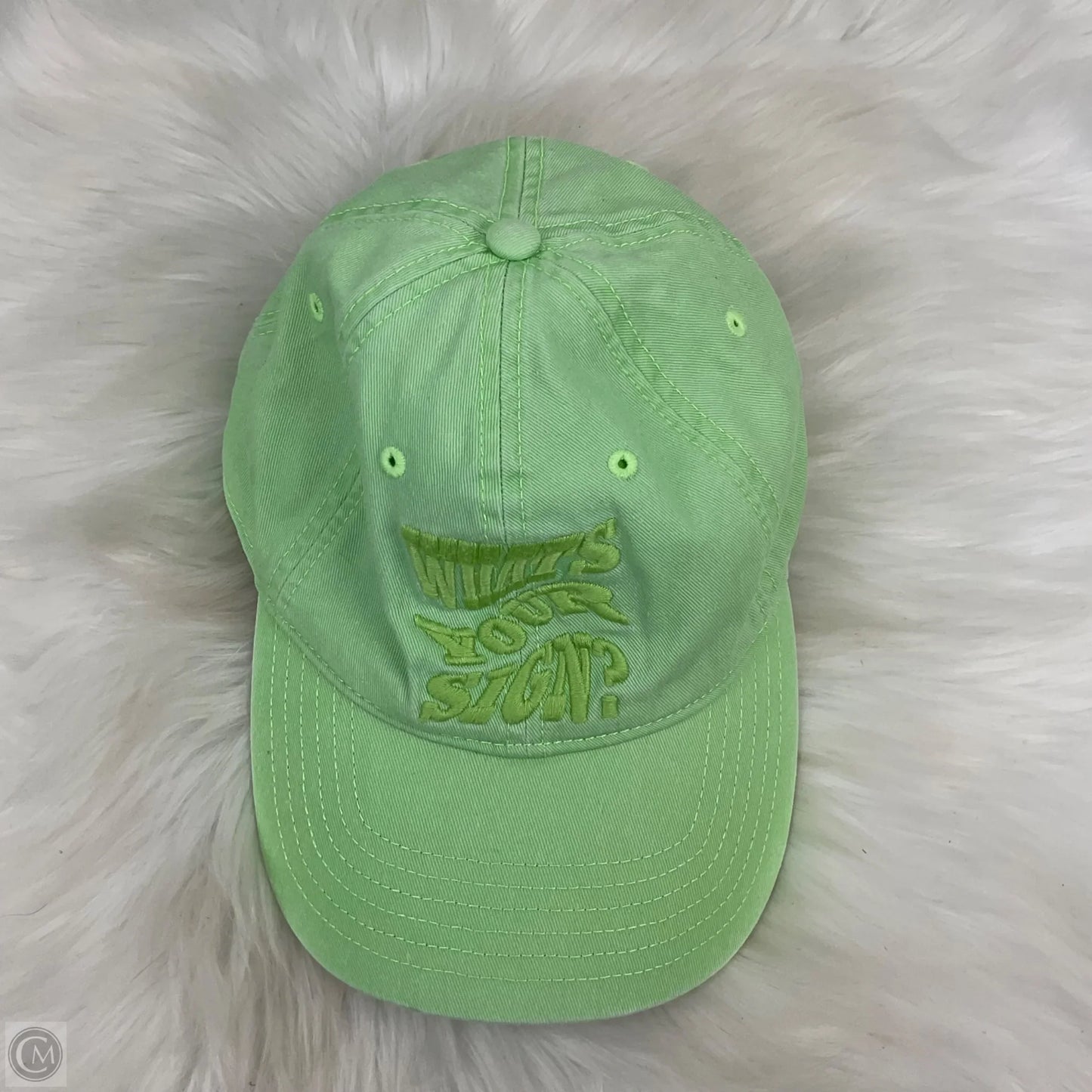 Hat Baseball Cap By Aerie