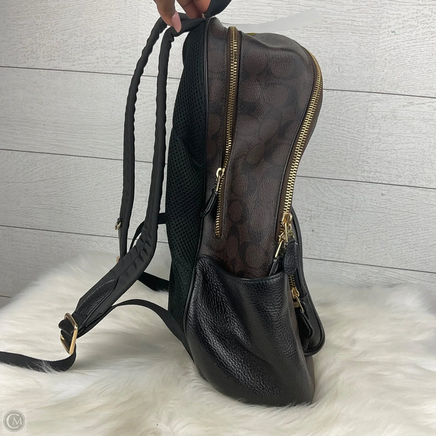 Backpack Designer By Coach, Size: Large