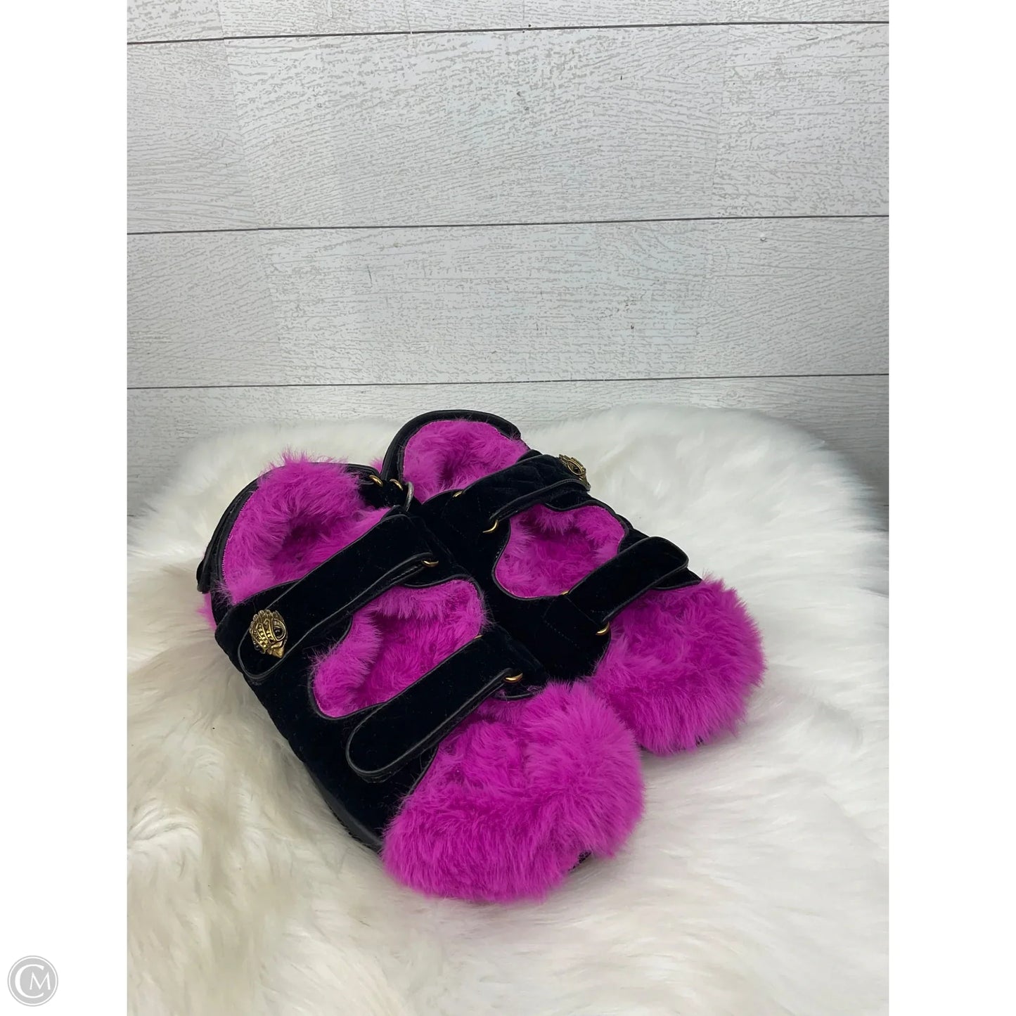 Shoes Designer By Kurt Geiger In Black & Pink, Size: 8