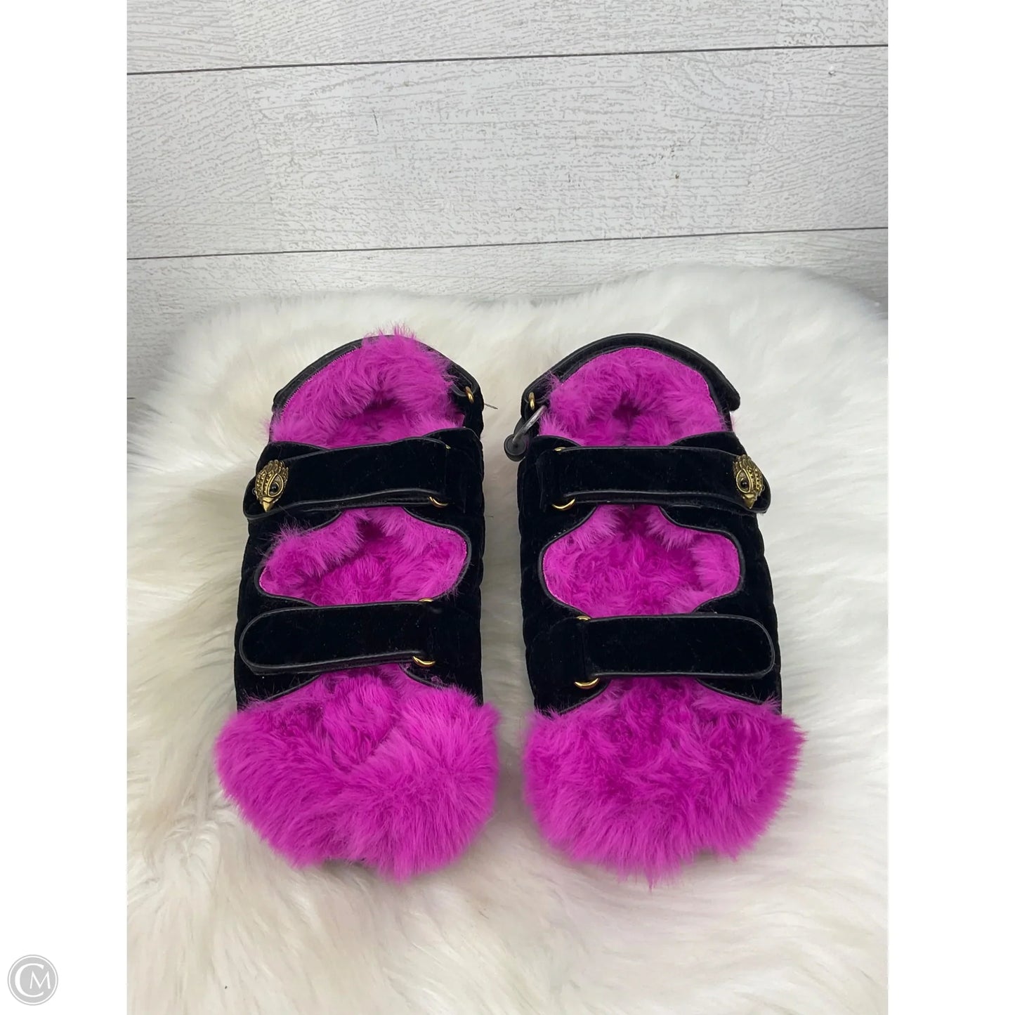 Shoes Designer By Kurt Geiger In Black & Pink, Size: 8