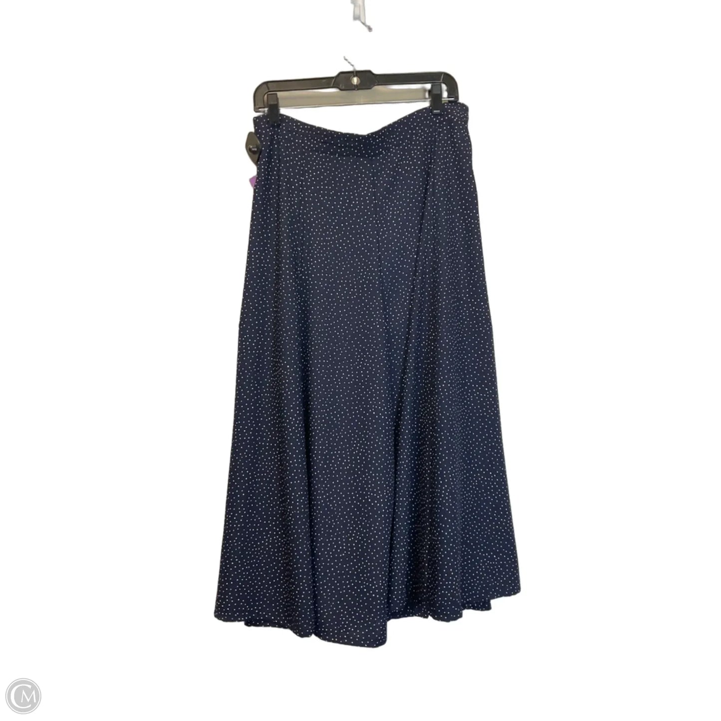 Skirt Maxi By Express In Blue, Size: L