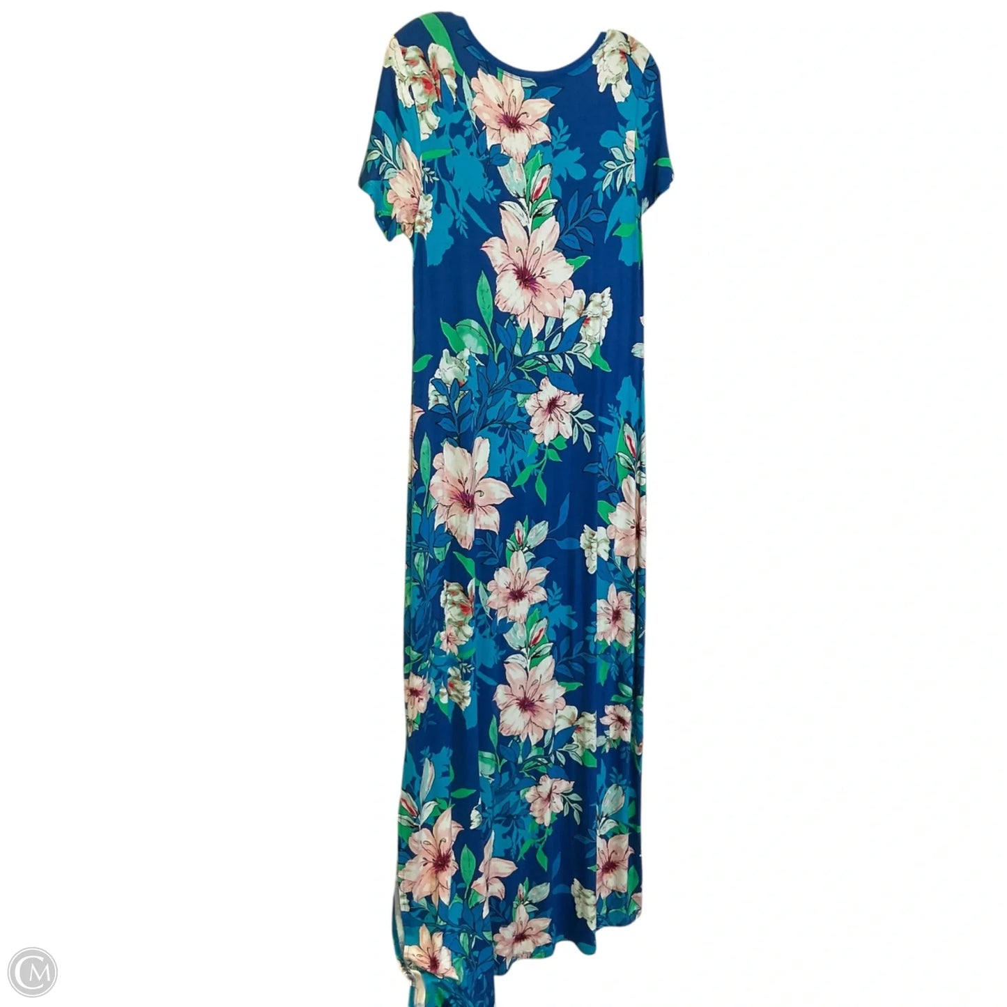 Dress Casual Maxi By Spense In Floral Print, Size: S