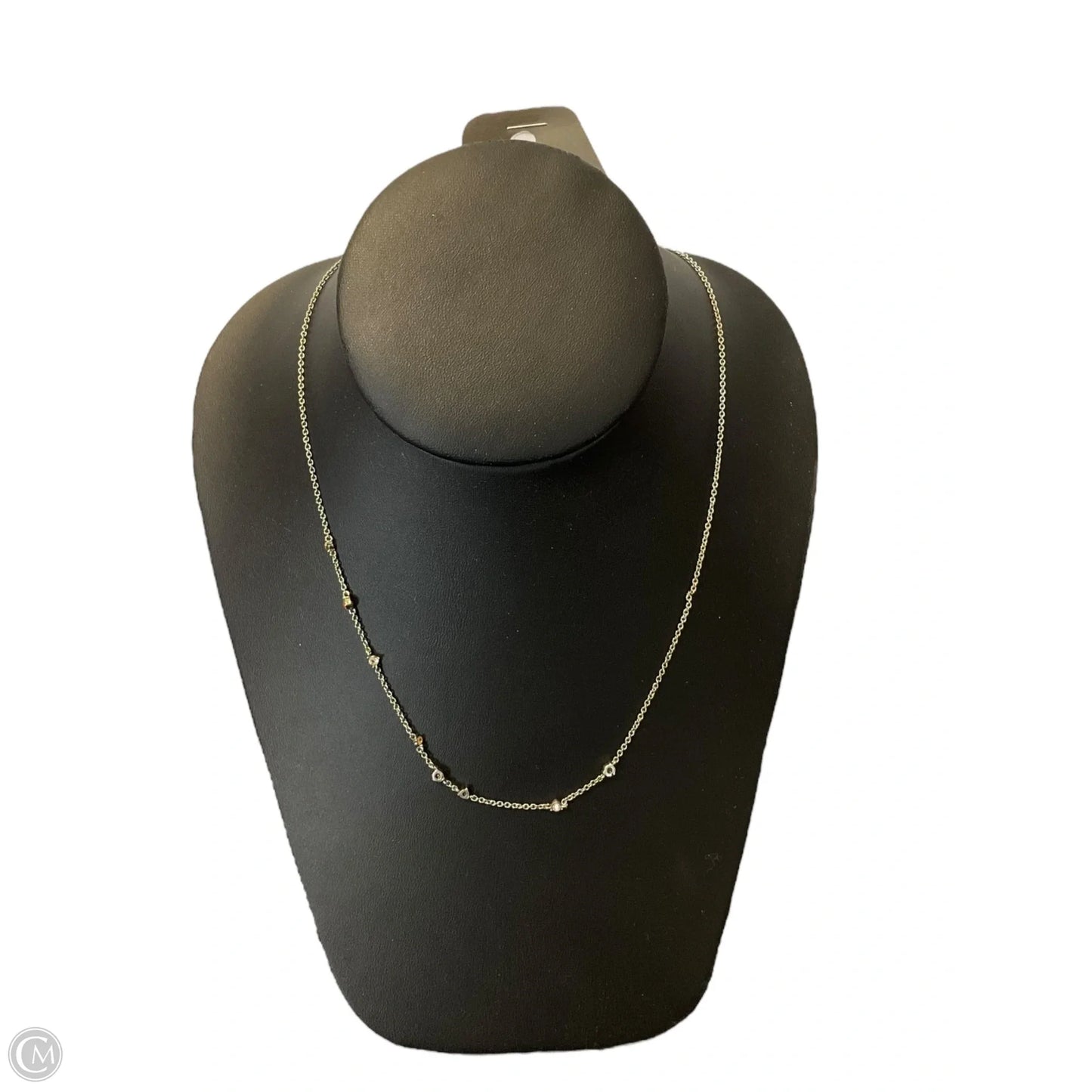 Necklace Chain By Loft