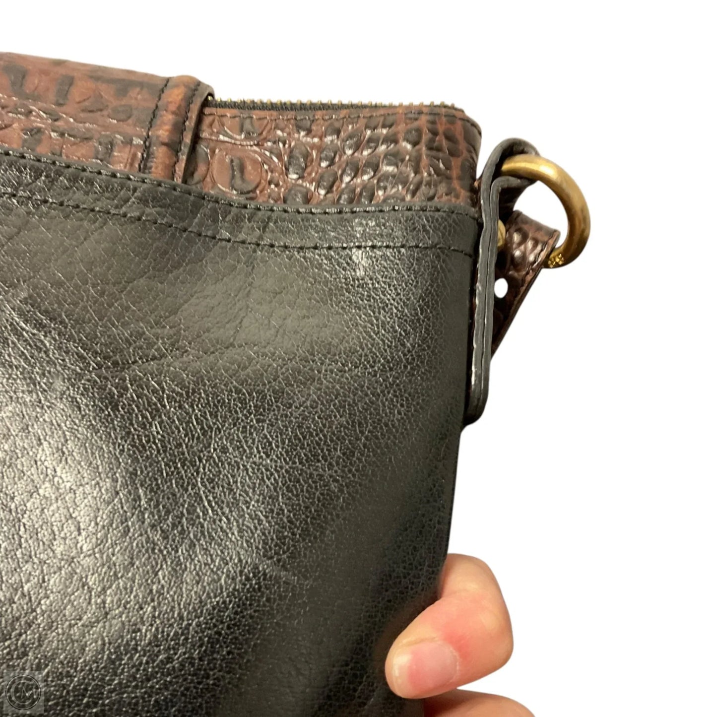 Crossbody Designer By Brahmin, Size: Small