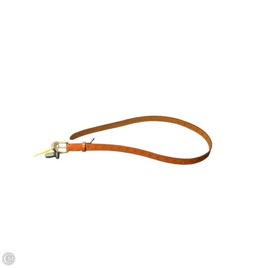 Belt By Fossil, Size: Large