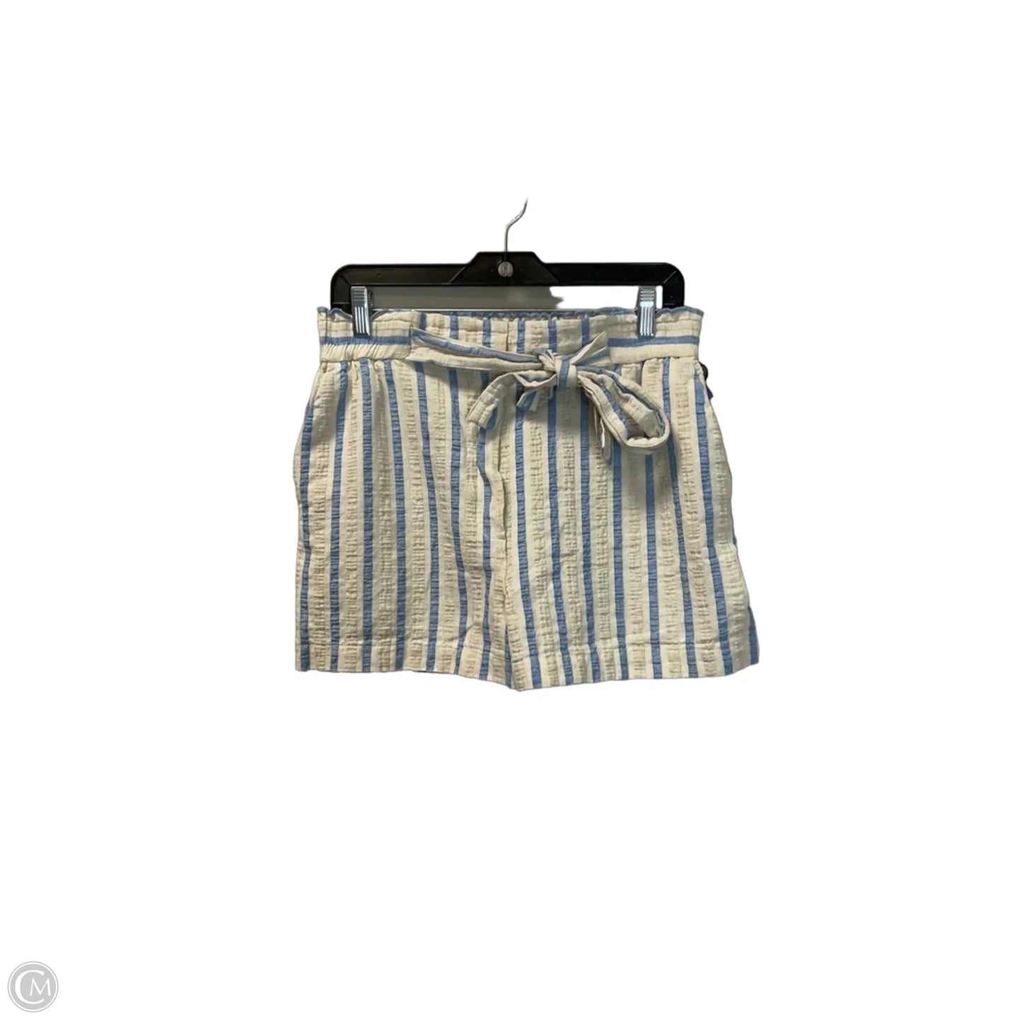 Shorts By Zara In Blue & Cream, Size: L
