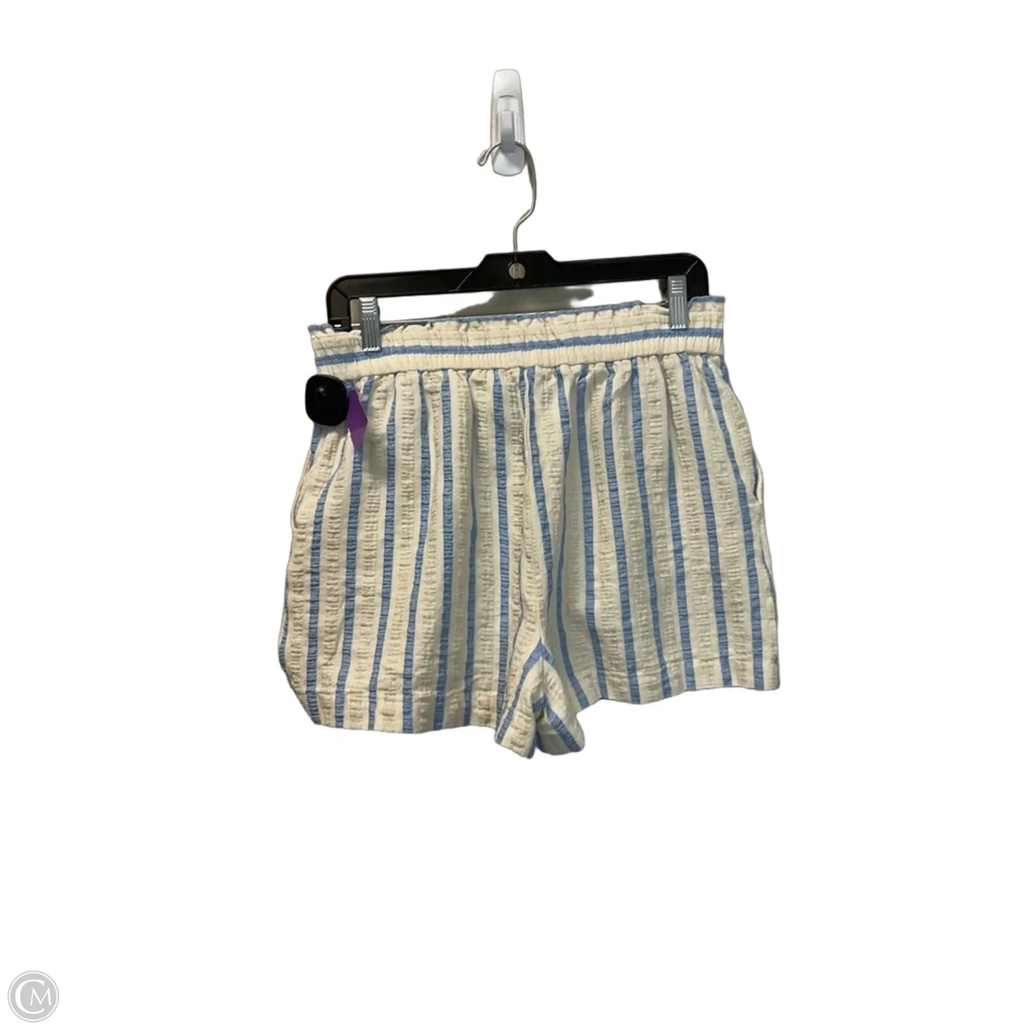 Shorts By Zara In Blue & Cream, Size: L