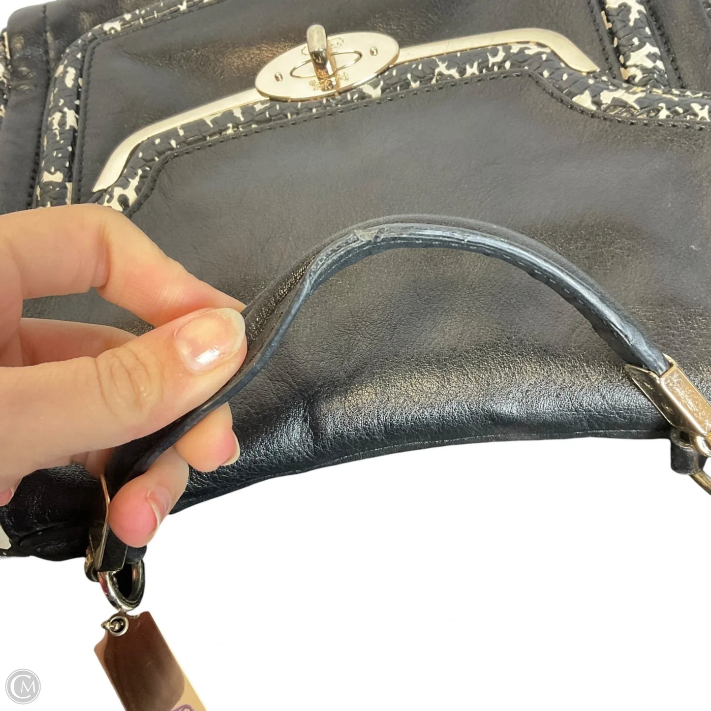 Handbag Designer By Coach, Size: Small