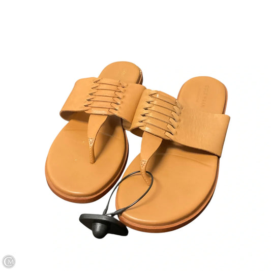 Sandals Flip Flops By Cole-haan In Brown, Size: 6