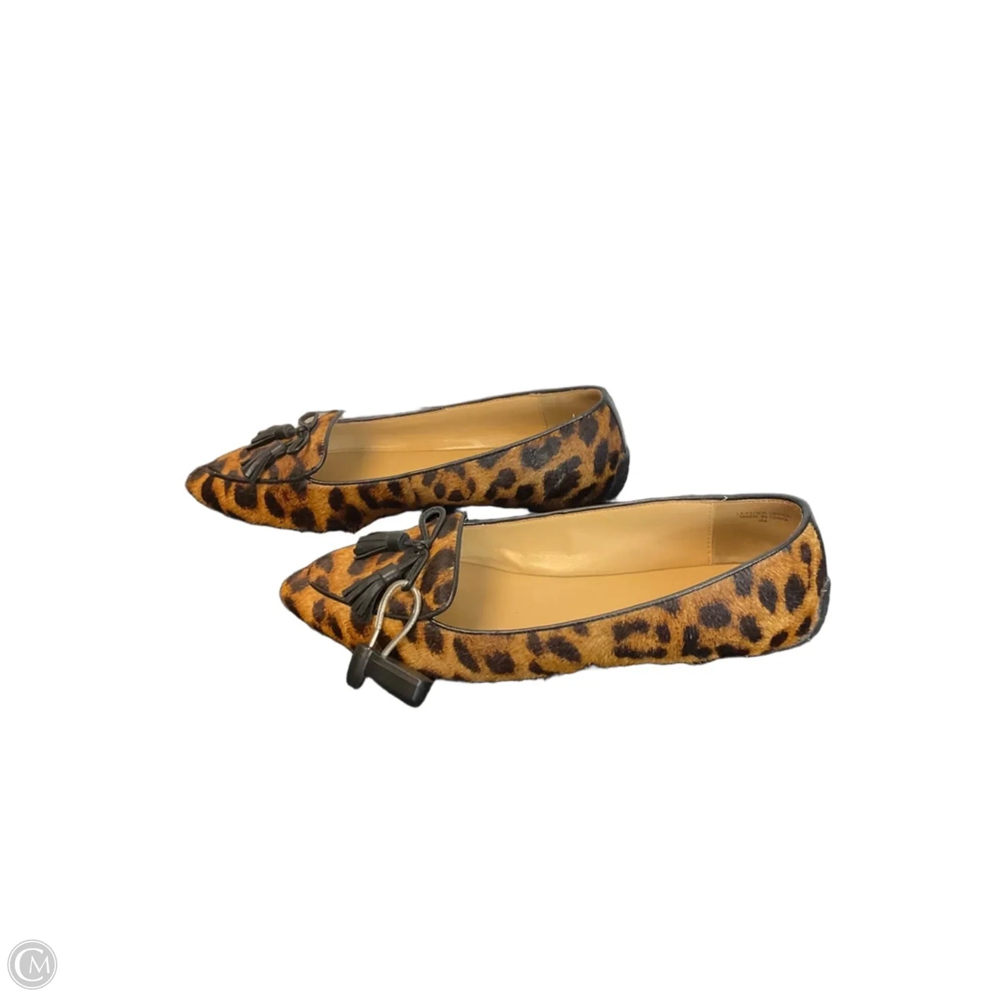 Shoes Flats By Talbots In Animal Print, Size: 9