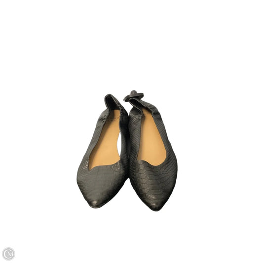 Shoes Flats By Crown And Ivy In Black, Size: 8.5