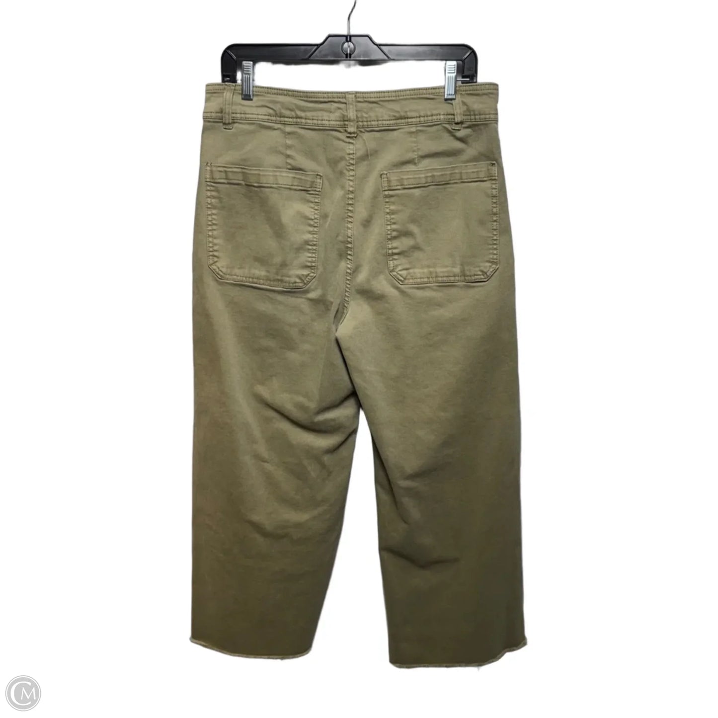 Pants Cargo & Utility By Oat In Green, Size: 12/31