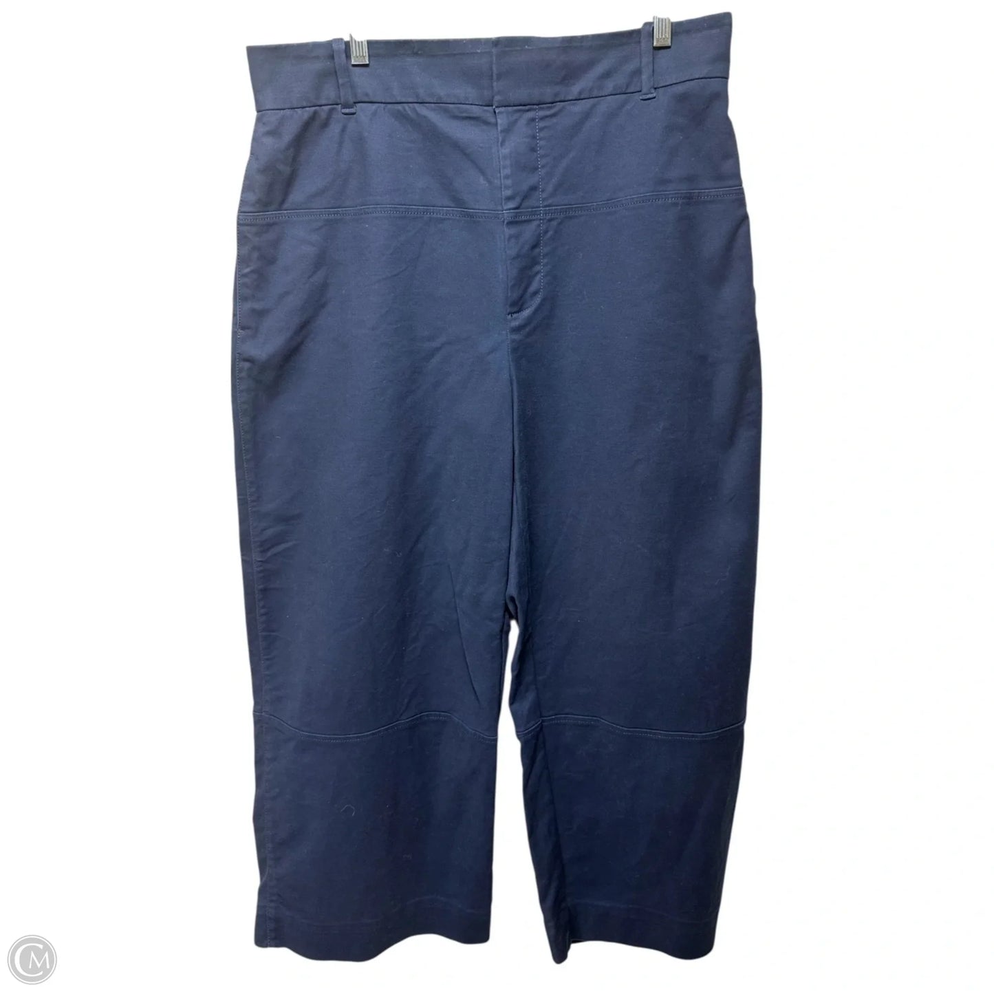 Pants Other By Everlane In Navy, Size: 14