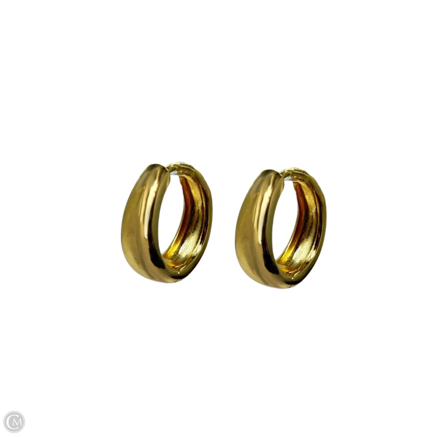 Gold Tone Small Hoop Earrings