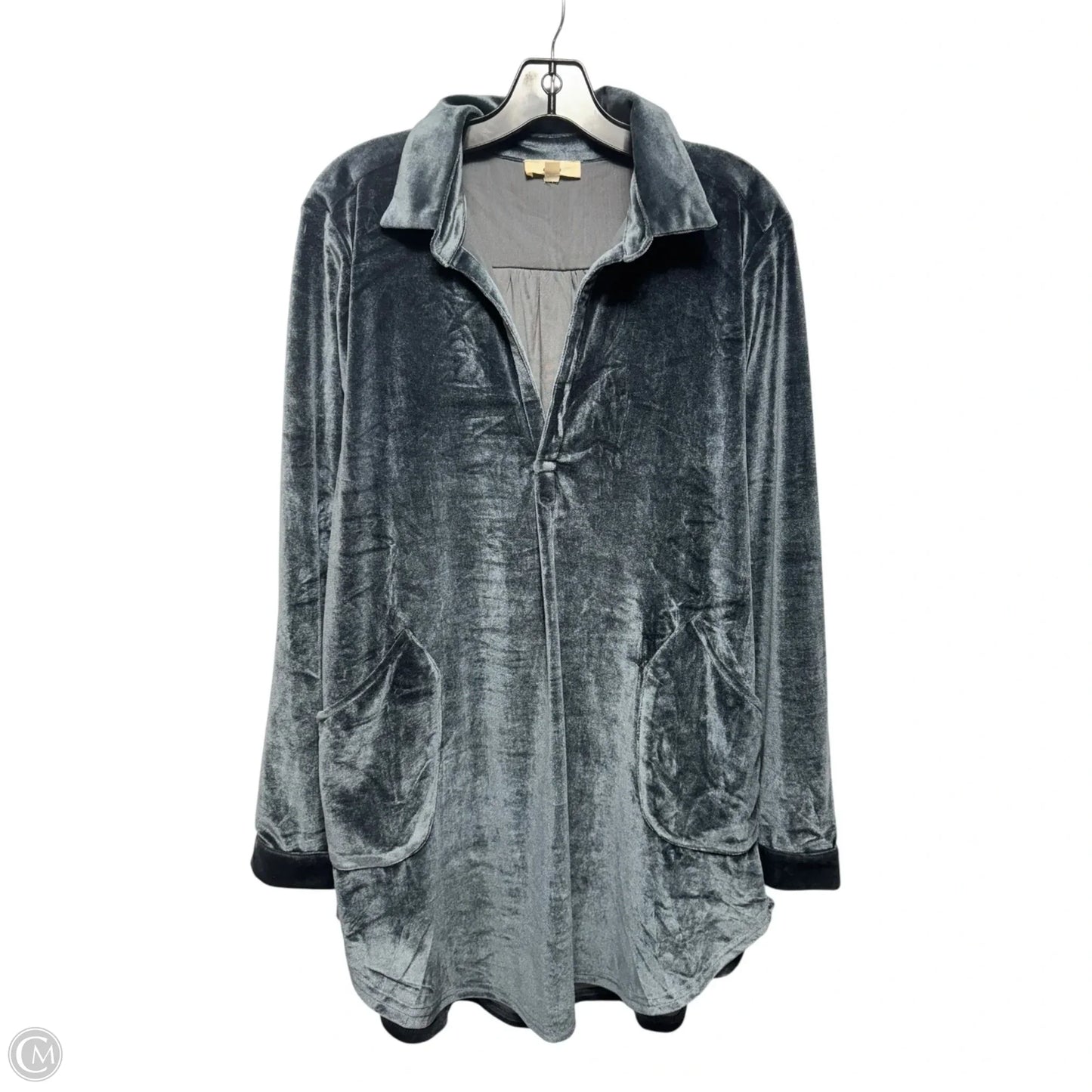 Velvet Tunic Long Sleeve By Entro In Blue, Size: L
