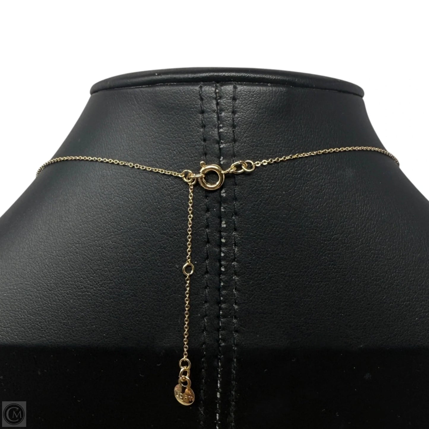 Demi Fine Sparkle Heart Necklace By Loft