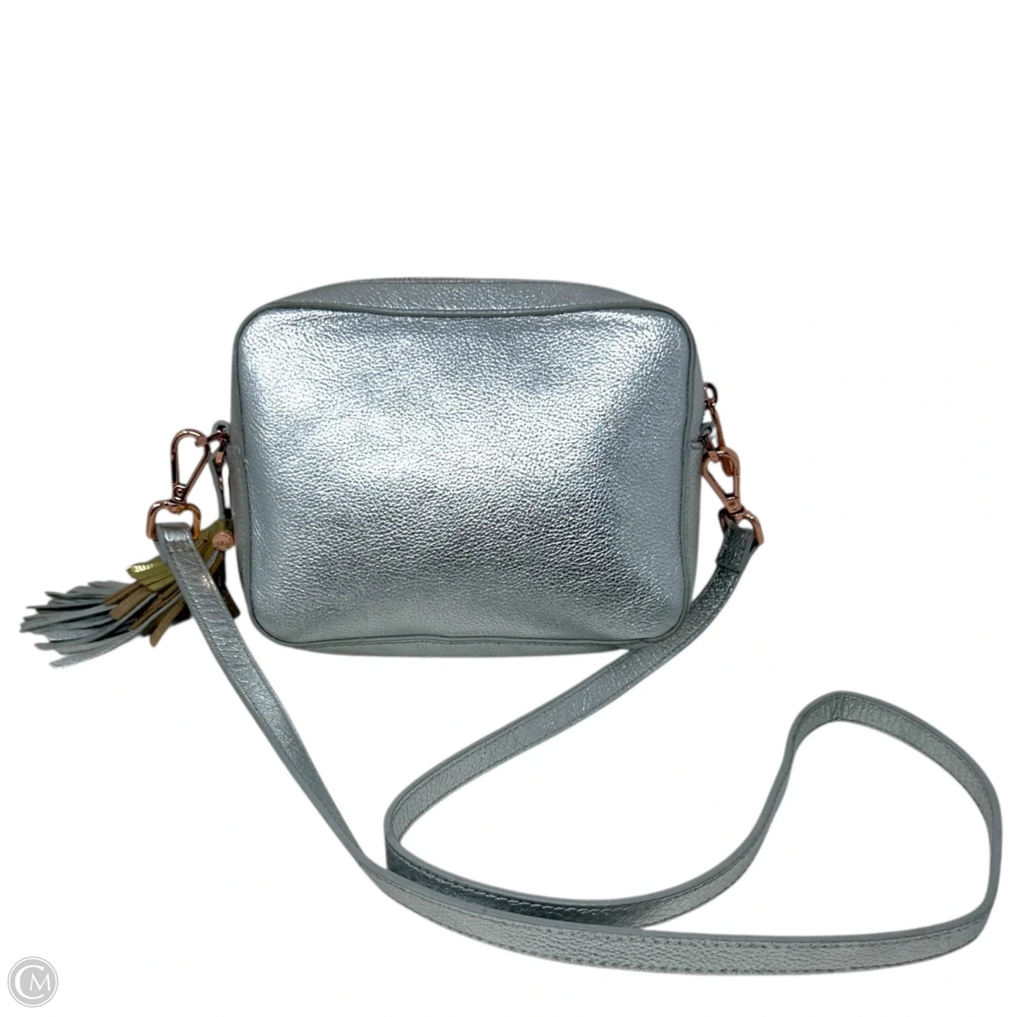 Darwina Metallic Tassel Leather Camera Crossbody Bag By Ted Baker, Size: Small