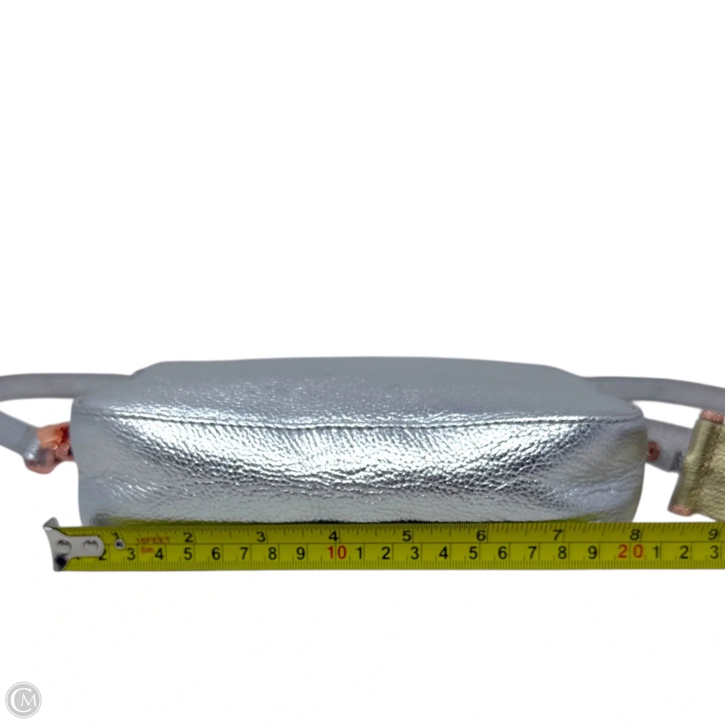 Darwina Metallic Tassel Leather Camera Crossbody Bag By Ted Baker, Size: Small