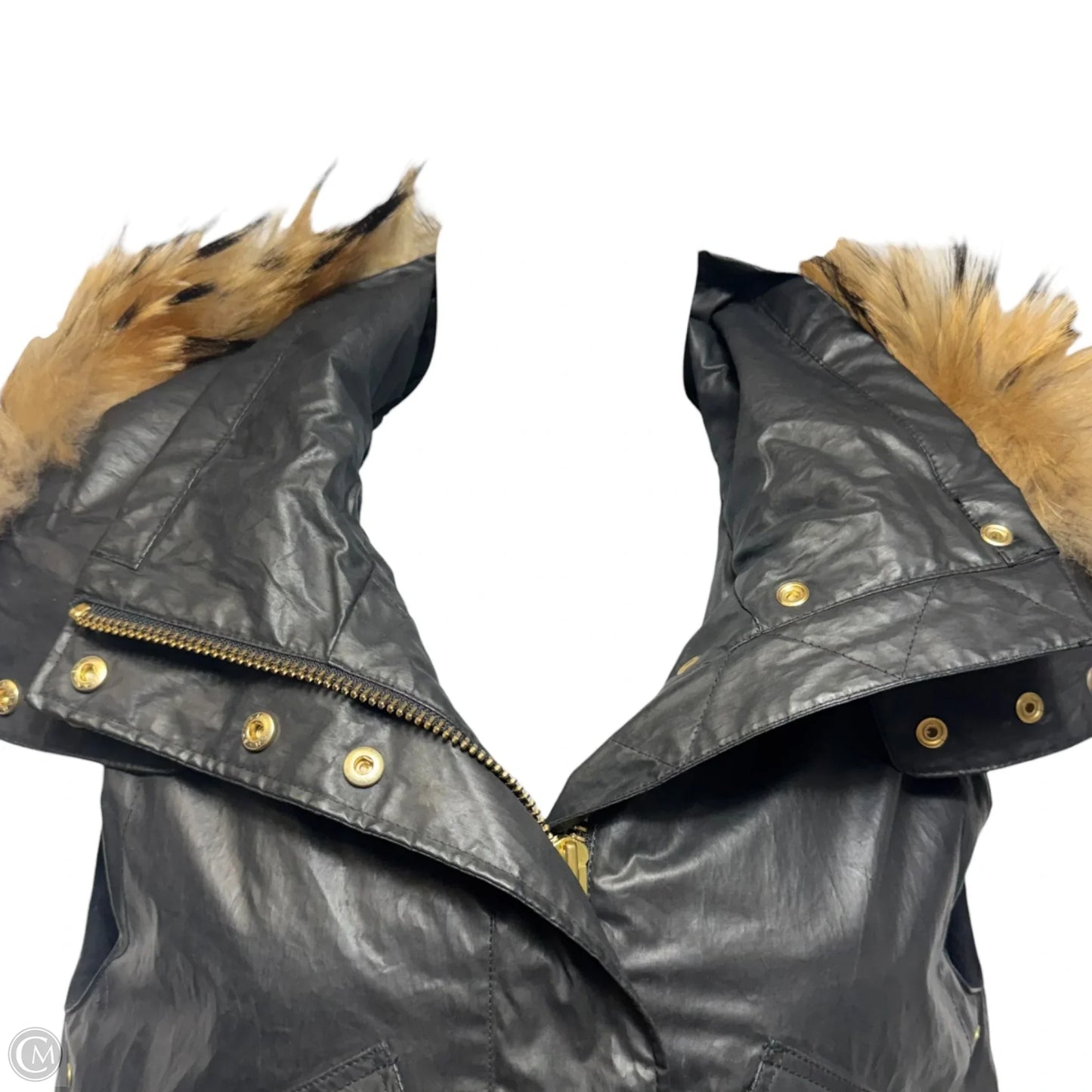 Hayden Asiatic Raccoon Fur Hooded Vest By Sam New York In Black, Size: M