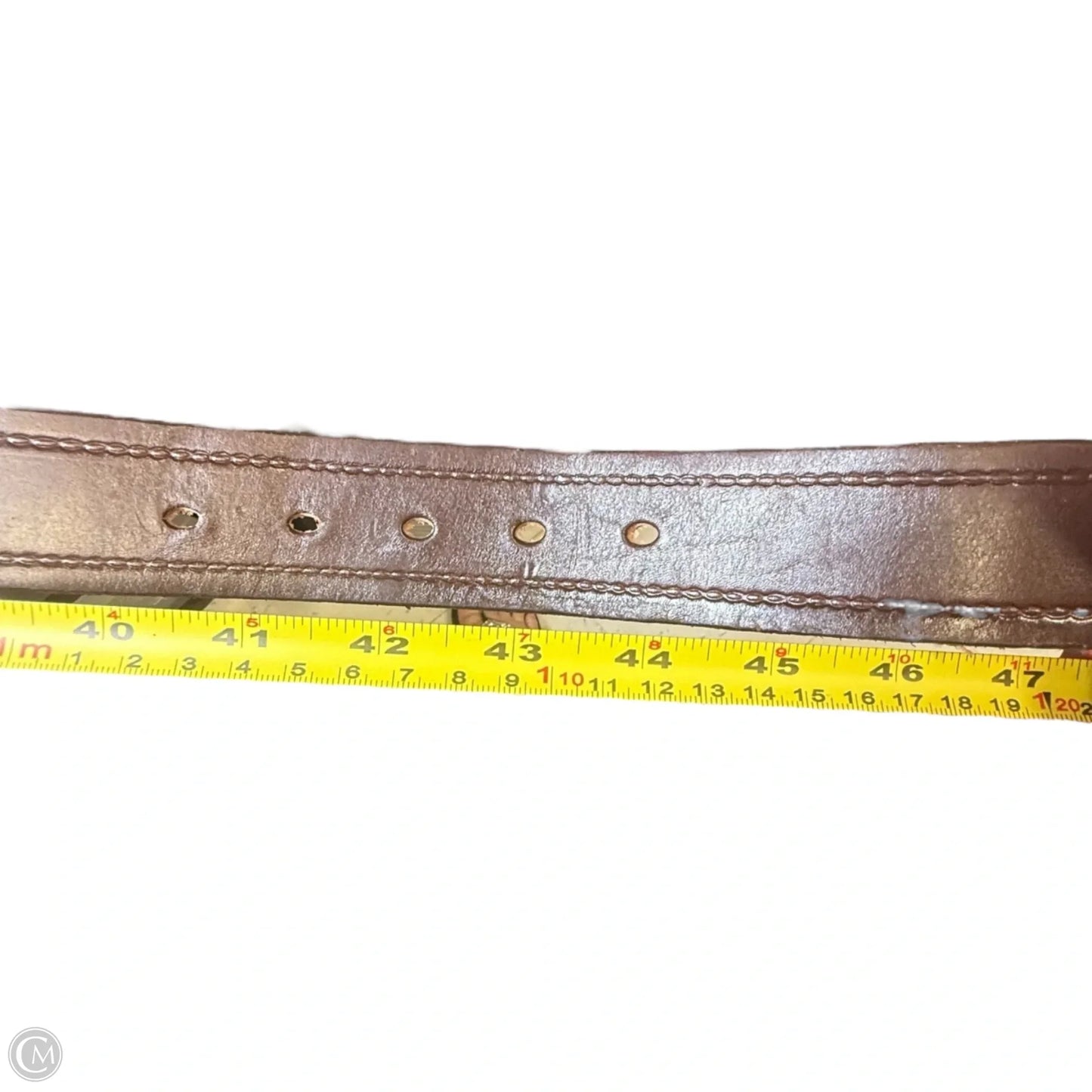 Medusa Head Spinner Buckle Leather Belt By Western Express, Size: Large