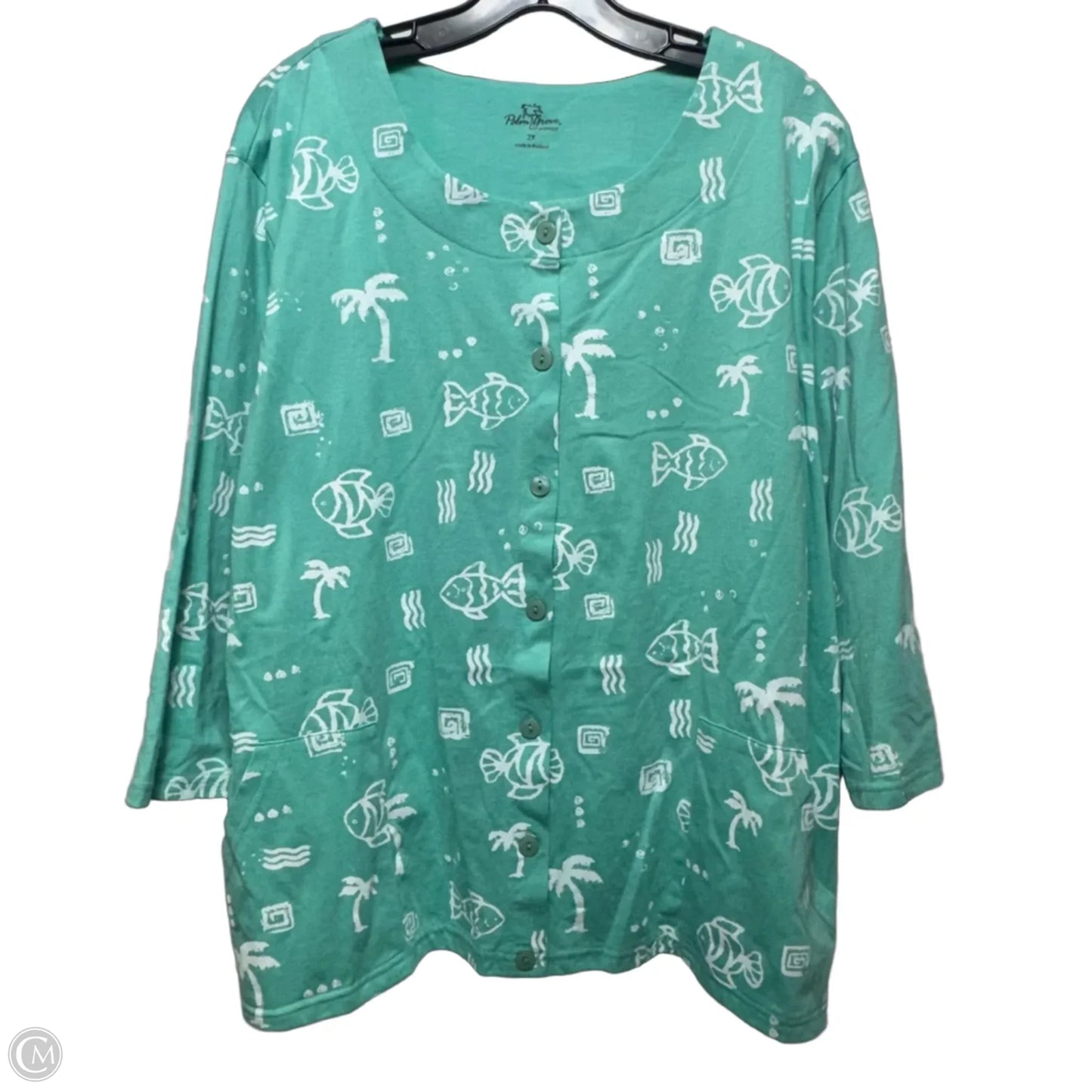 Top Long Sleeve By Palm Grove In Aqua, Size: 2x