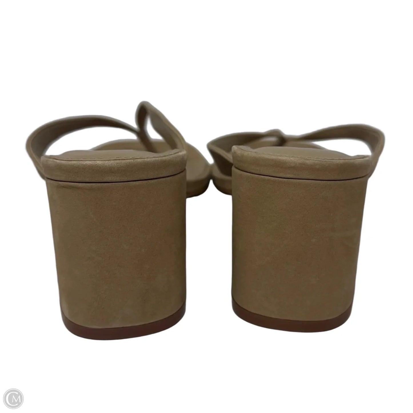 Block Heel Thong Sandals Heels By Steve Madden In Tan, Size: 9