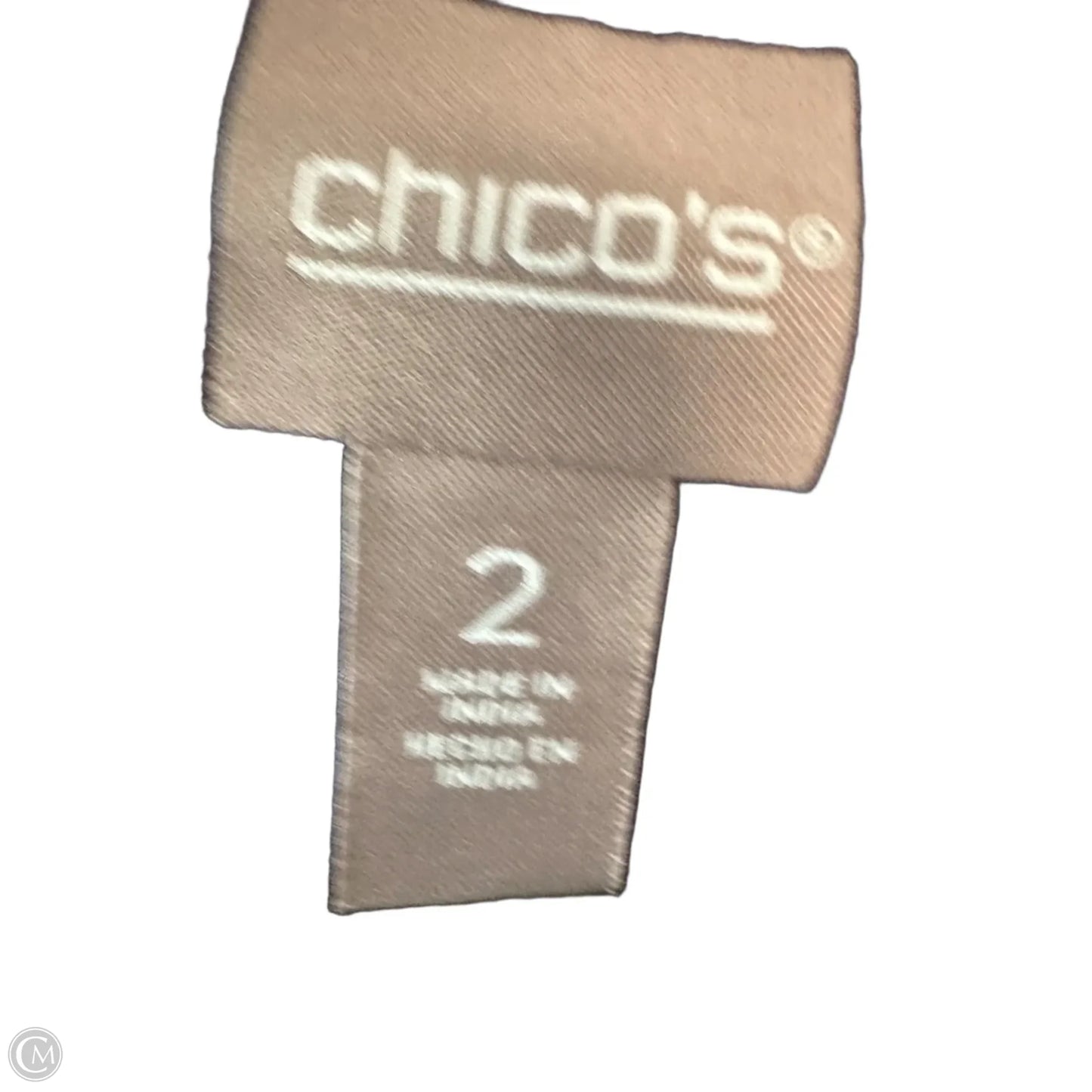 Top 3/4 Sleeve By Chicos In Blue & Tan, Size: L