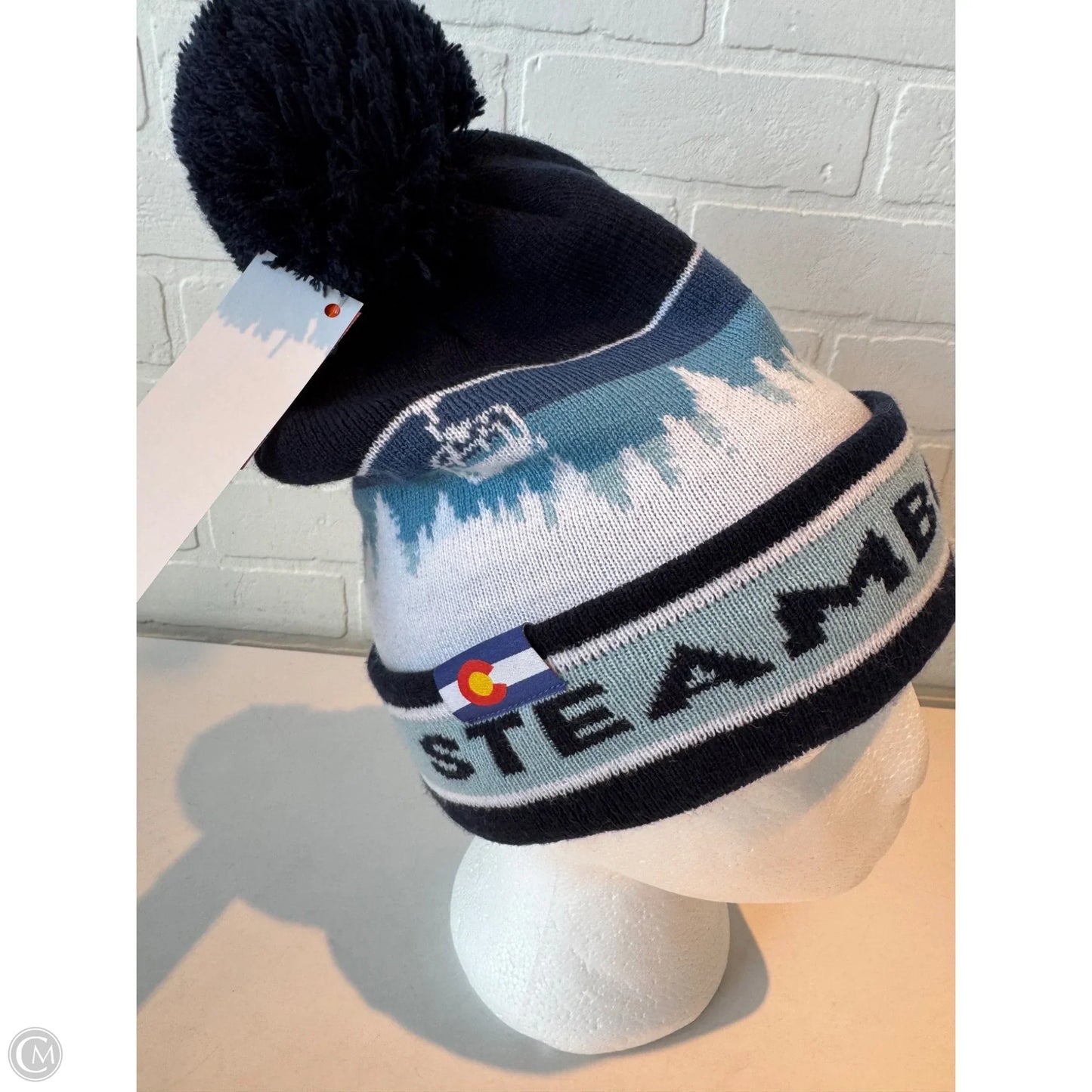 Hat Beanie By Clothes Mentor