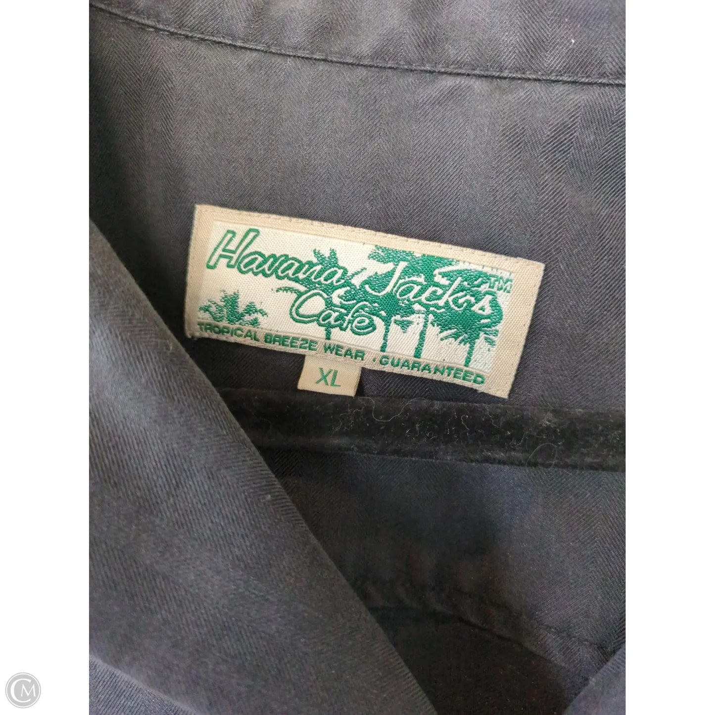 Top 3/4 Sleeve By Havana Jack In Black, Size: Xl