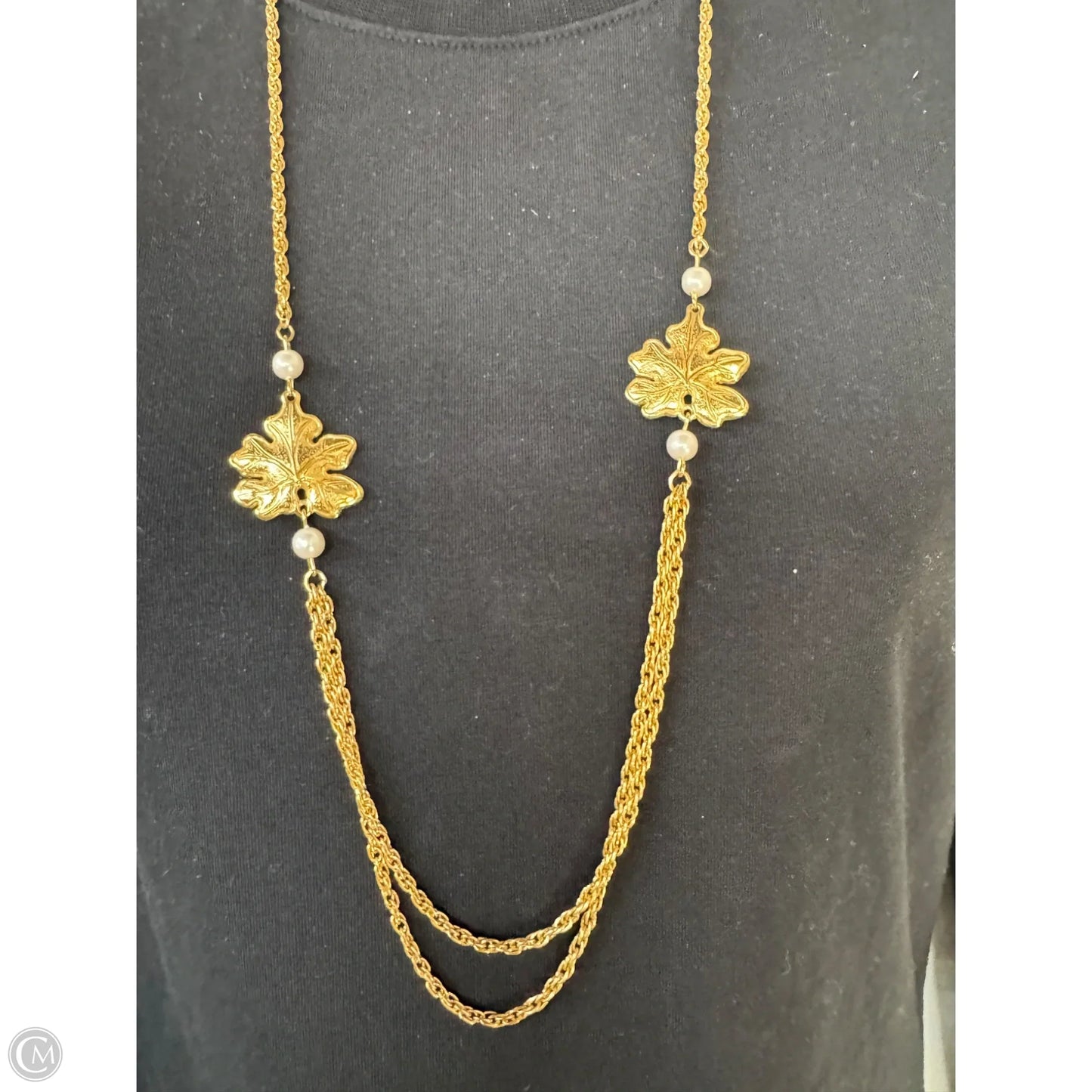 Necklace Chain By Clothes Mentor