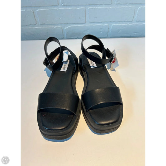 Sandals Flats By Steve Madden In Black, Size: 7