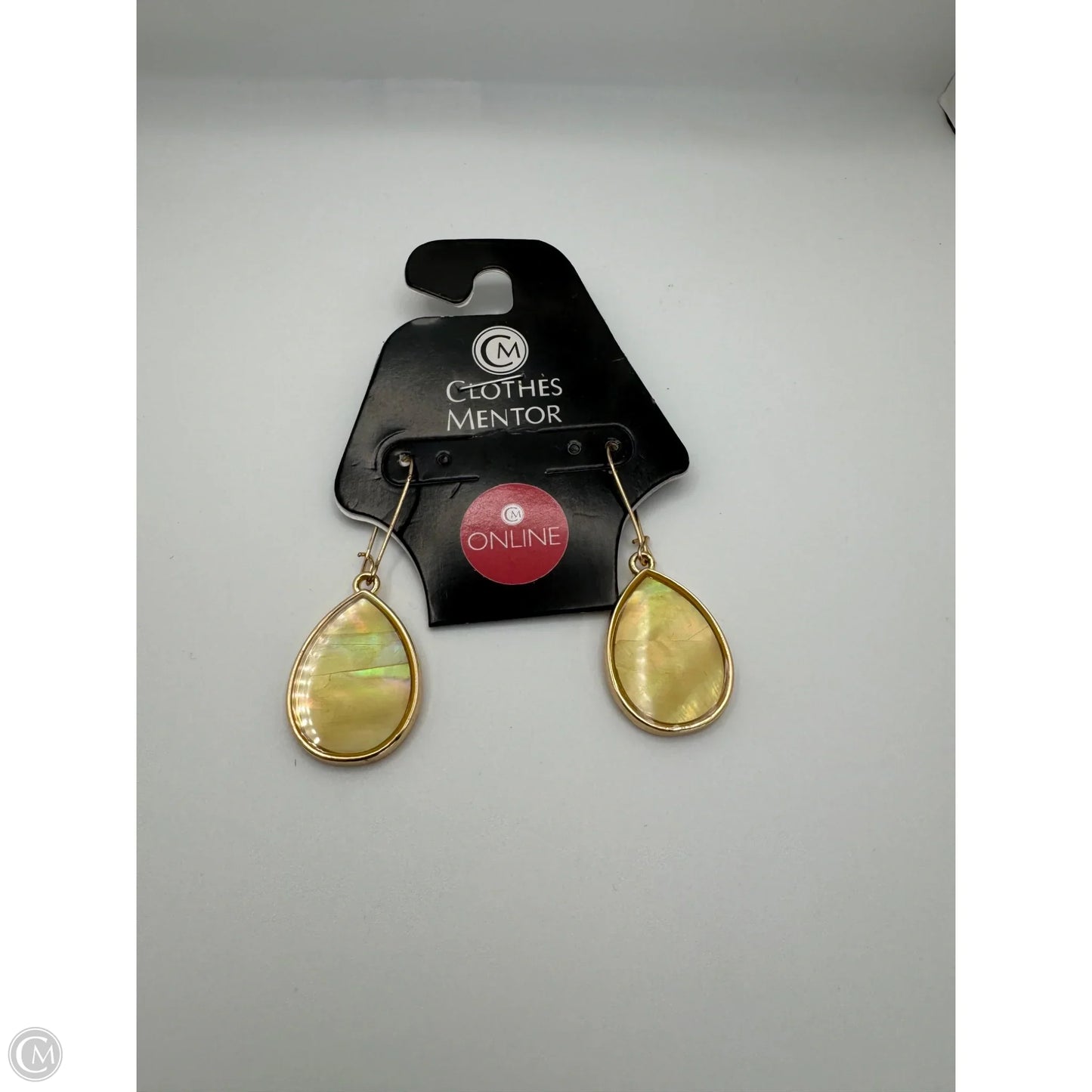 Earrings Dangle/drop By Clothes Mentor