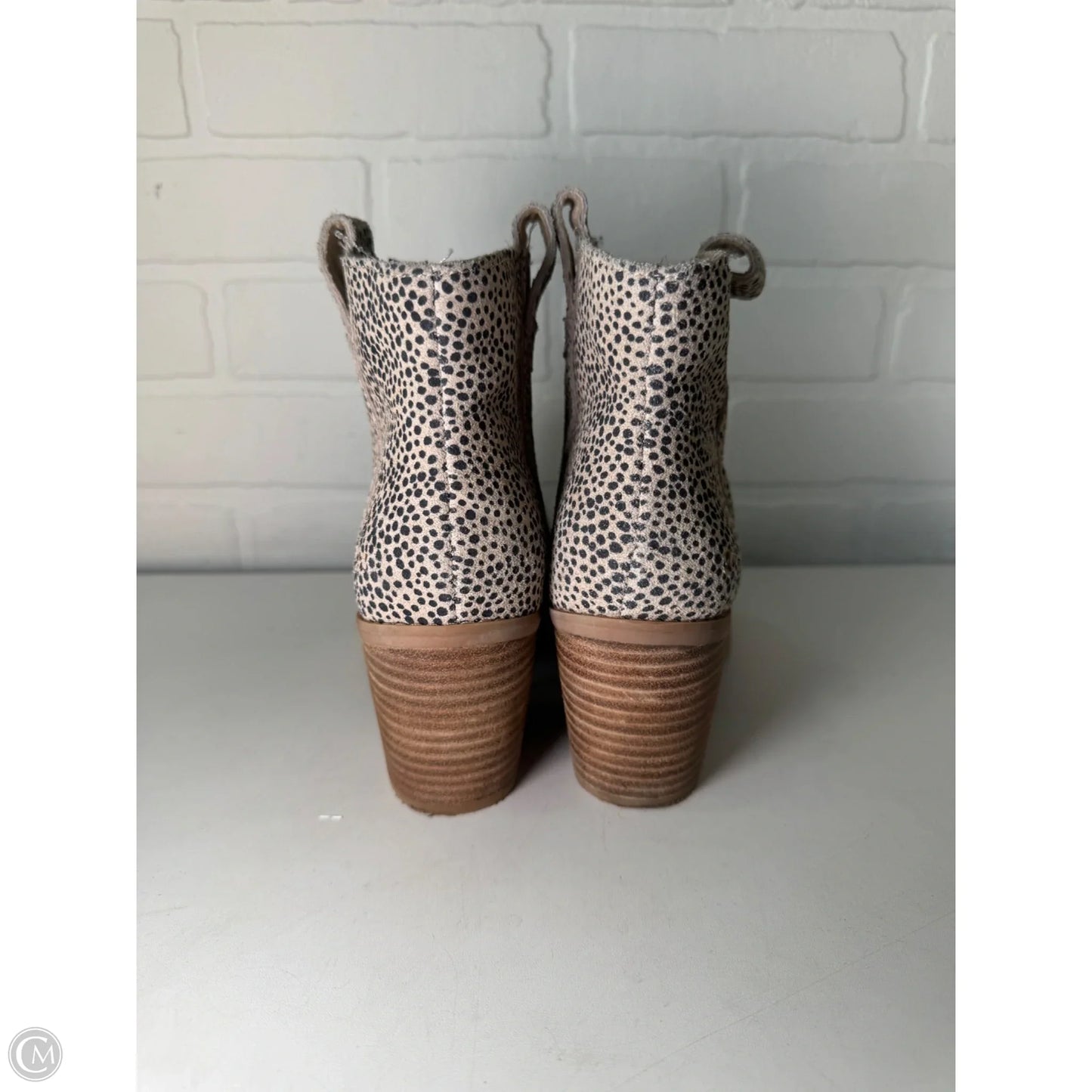 Boots Ankle Heels By Toms In Leopard Print, Size: 7.5