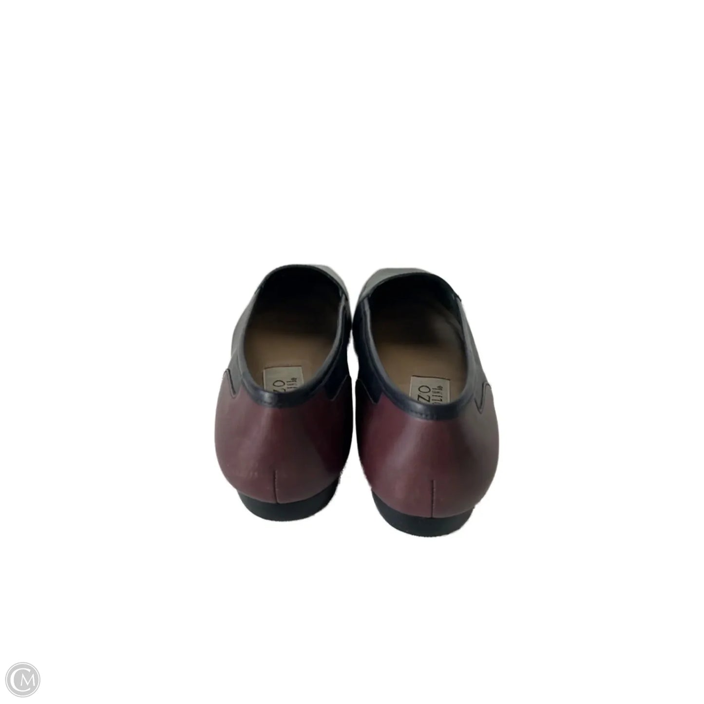 Shoes Flats By Enzo Angiolini In Black & Green, Size: 7