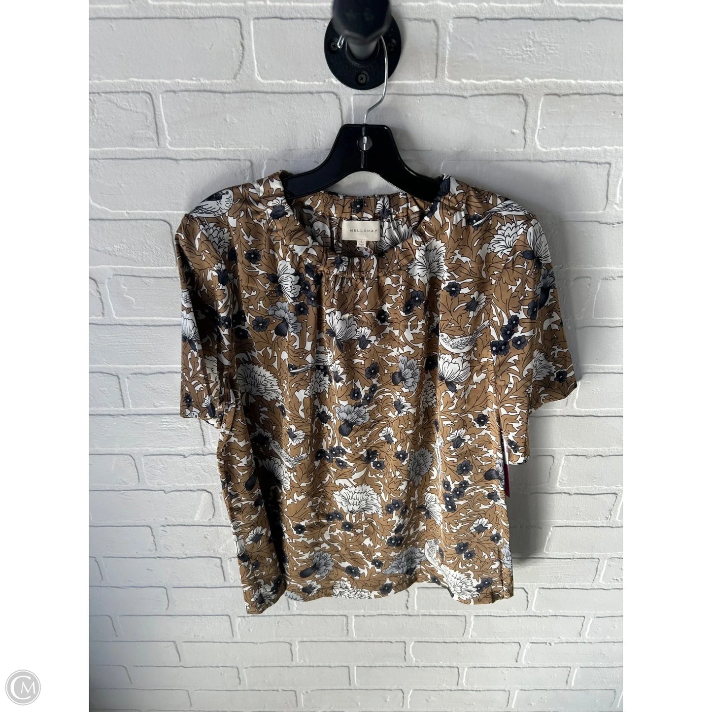 Top Short Sleeve By Melloday In Brown & White, Size: L