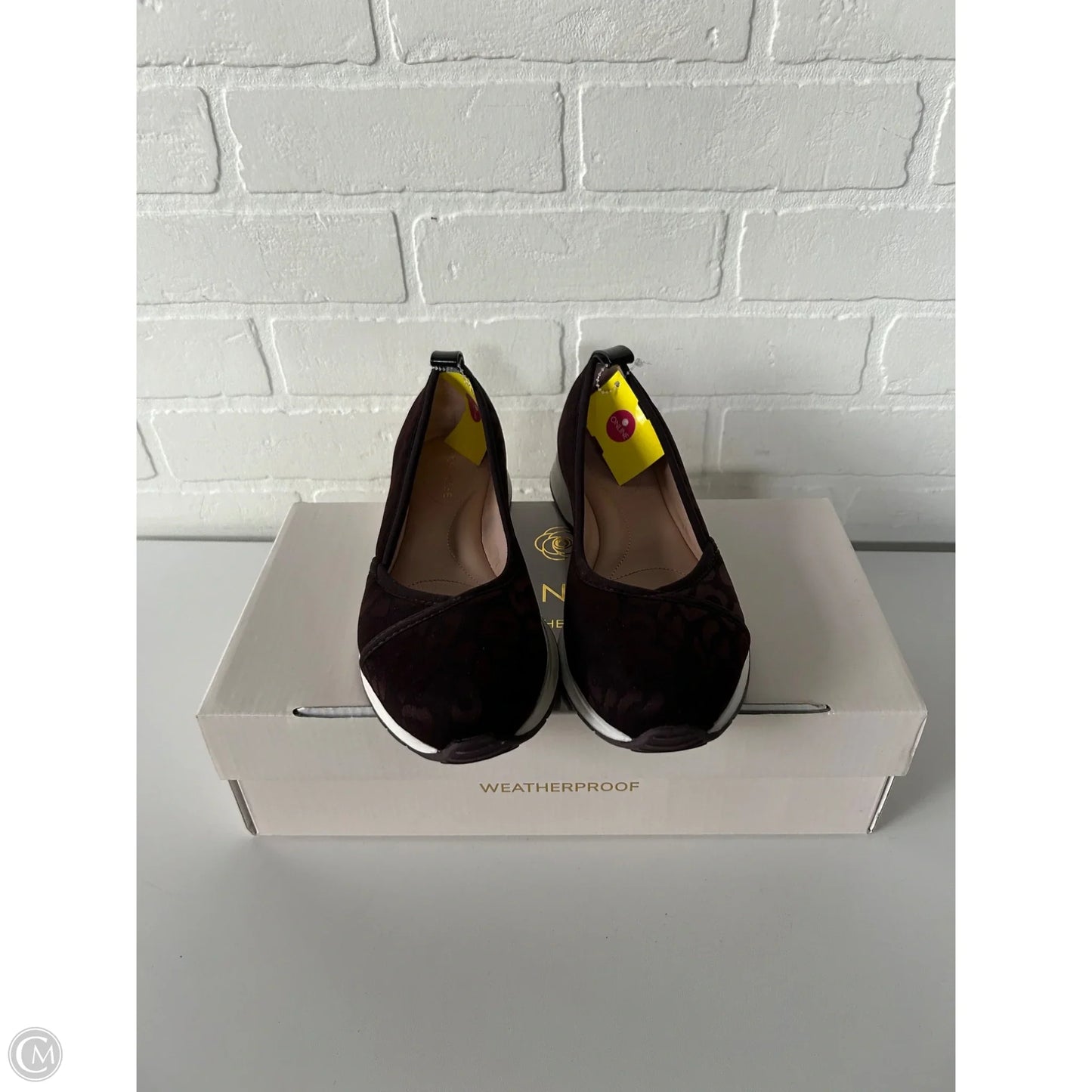 Shoes Flats By Taryn Rose In Brown, Size: 7