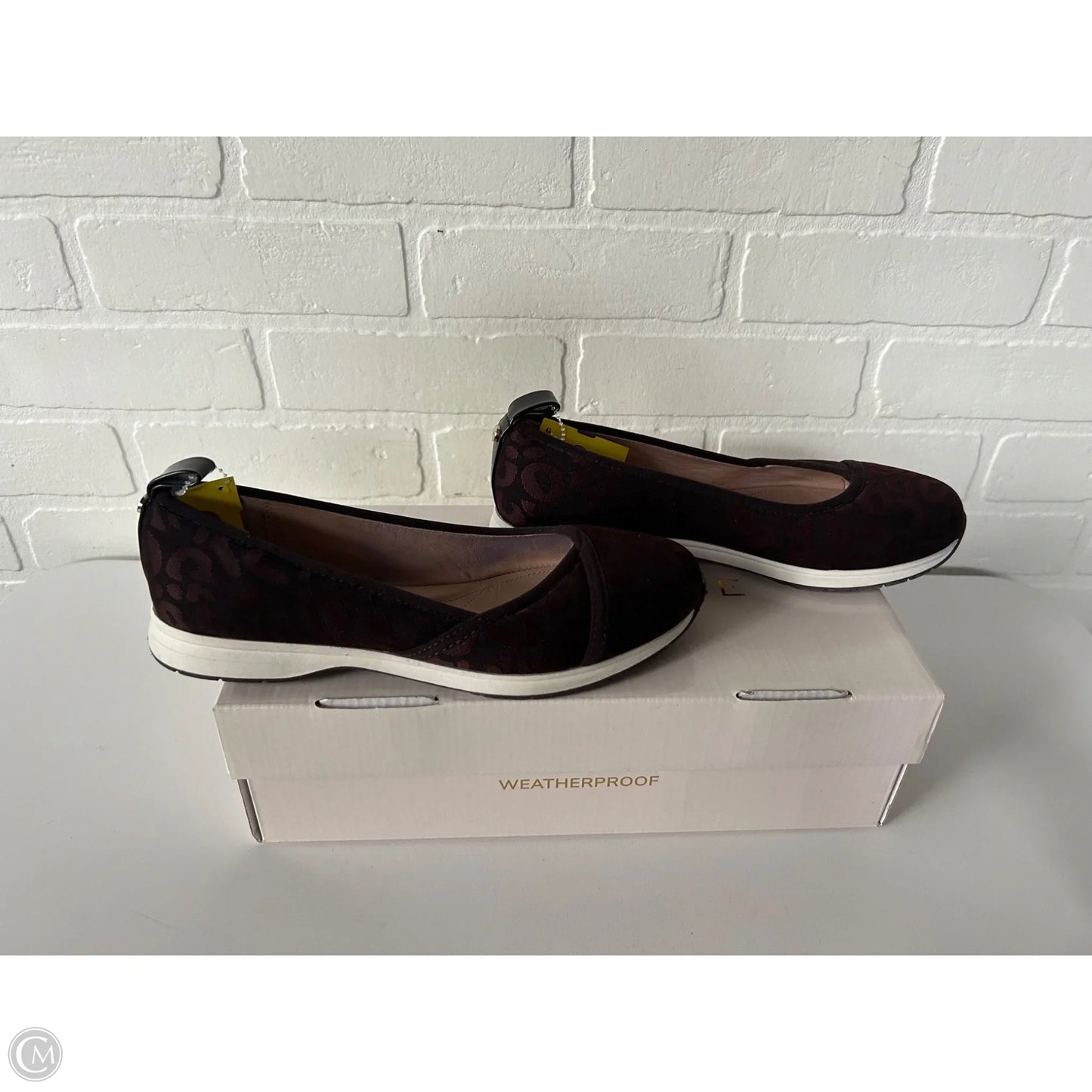 Shoes Flats By Taryn Rose In Brown, Size: 7