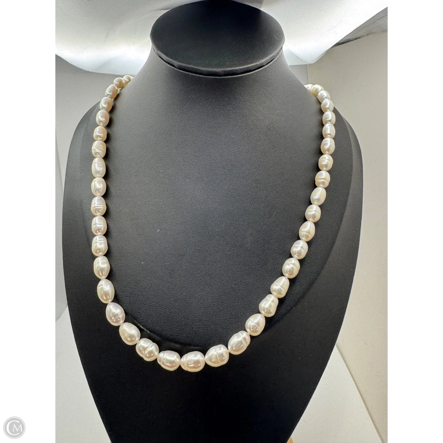 Necklace Chain By Clothes Mentor