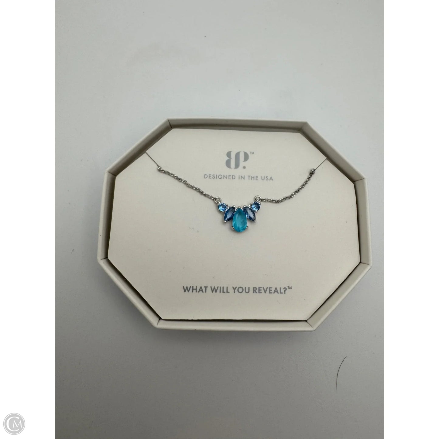 Necklace Lariat & Y-drop By Bp