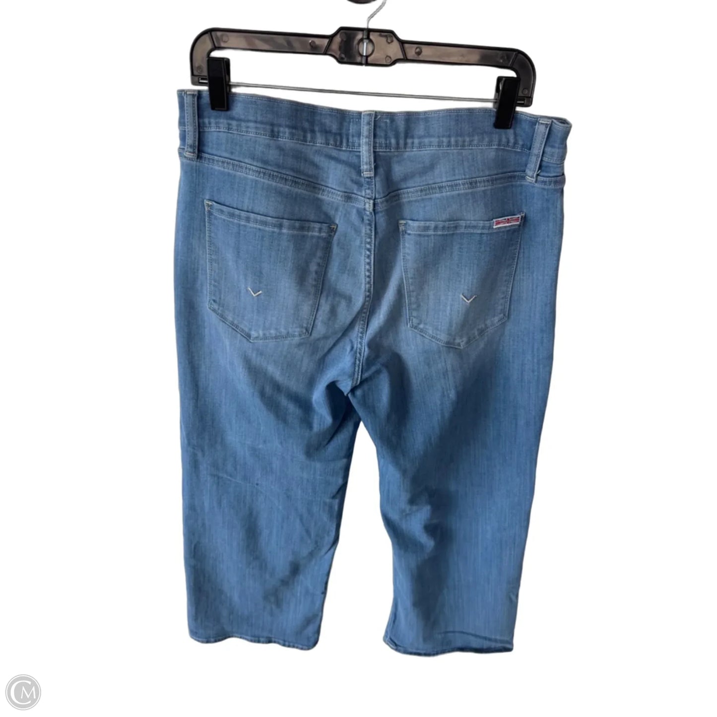 Jeans Wide Leg By Hudson In Blue Denim, Size: 12