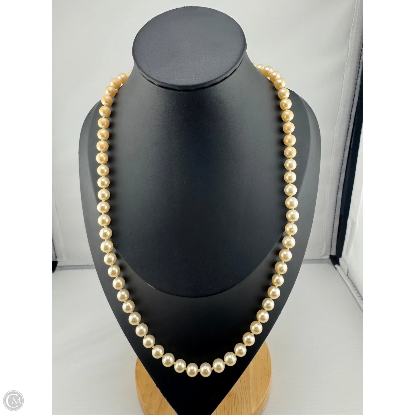Necklace Chain By Monet