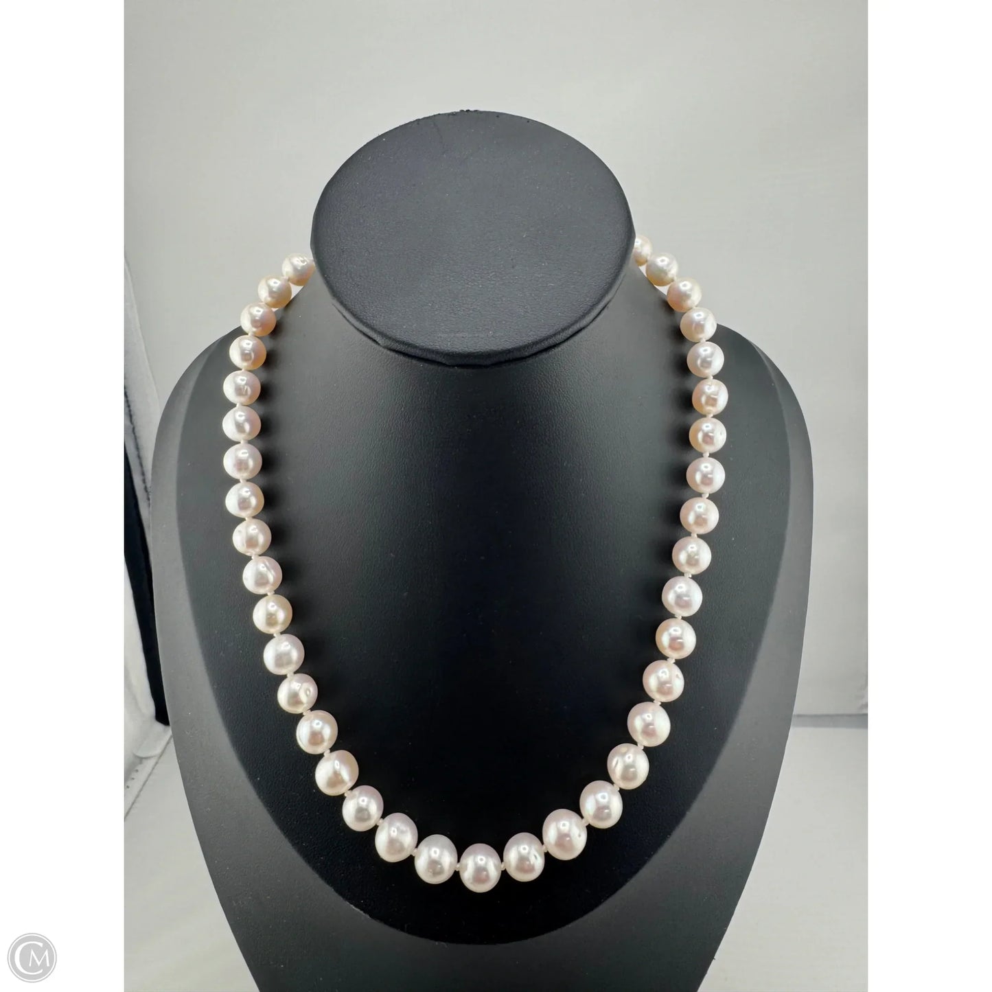 Necklace Chain By Clothes Mentor